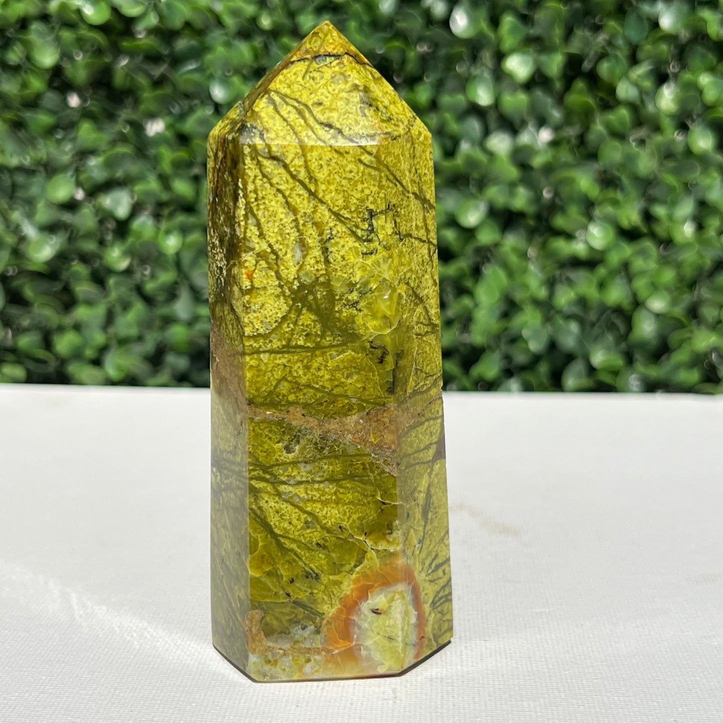 Kiwi Opal Tower