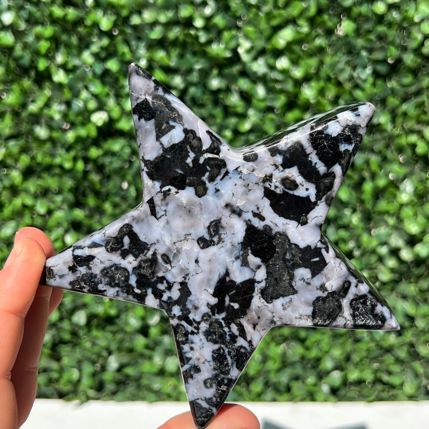 Mystic Merlinite Gabbro Star