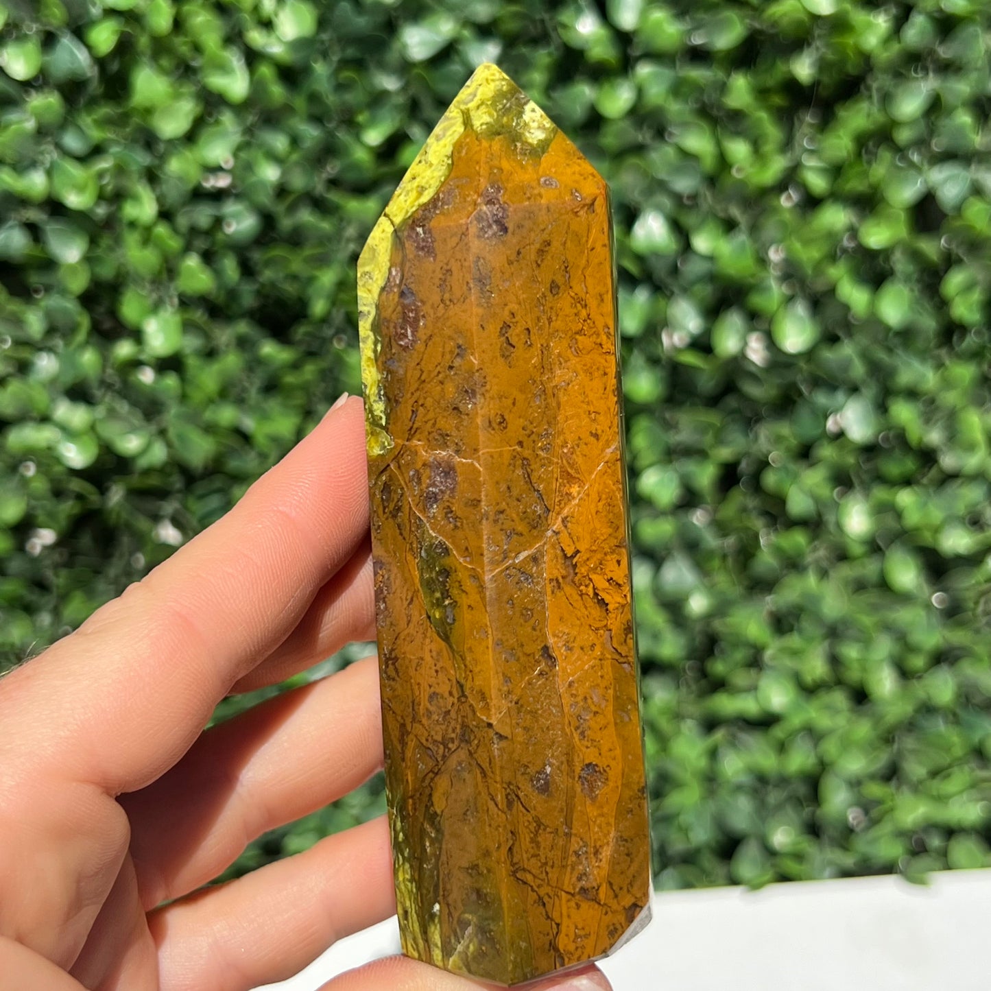 Kiwi Opal Tower
