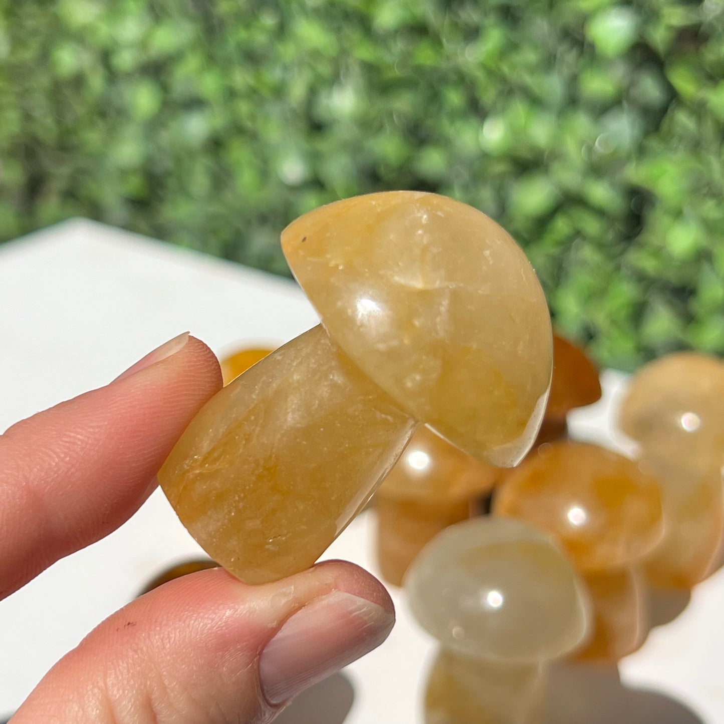 Golden Healer Quartz Small Mushroom’s