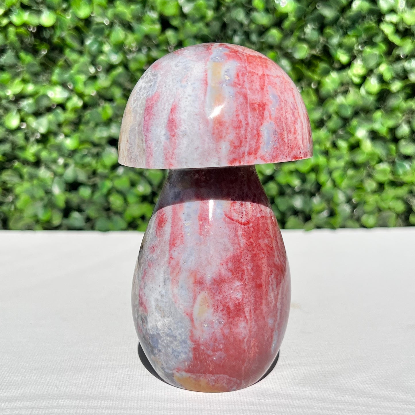 Ocean Jasper Mushroom