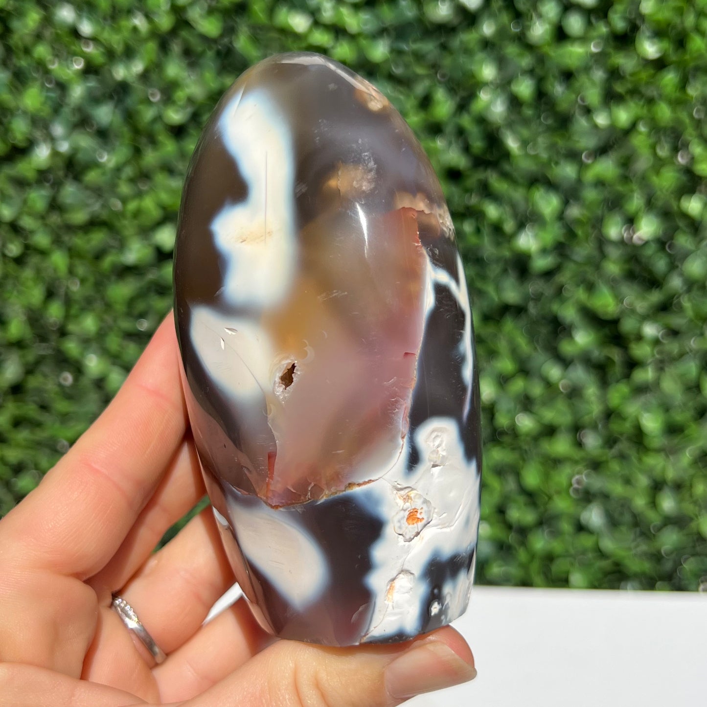 Orca Agate Free Form