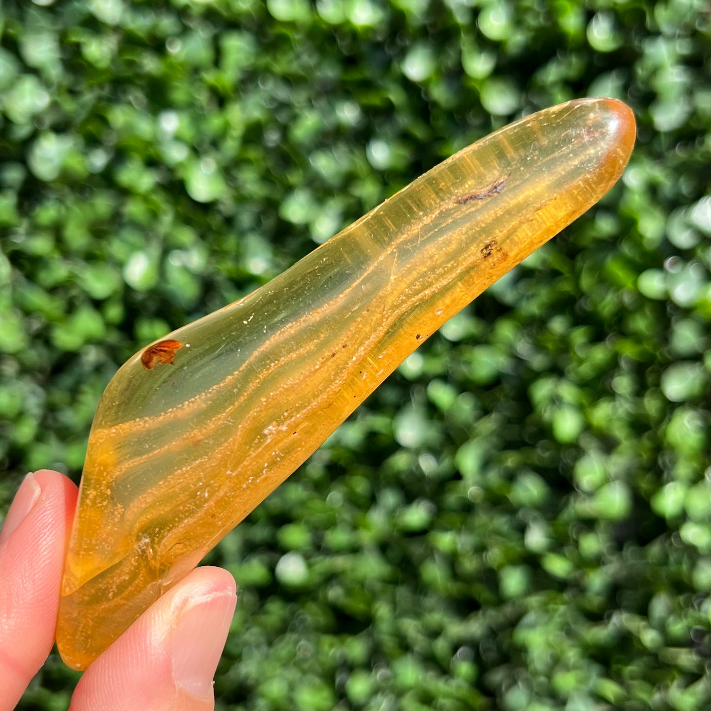 COPAL AMBER RARE SPECIMEN
