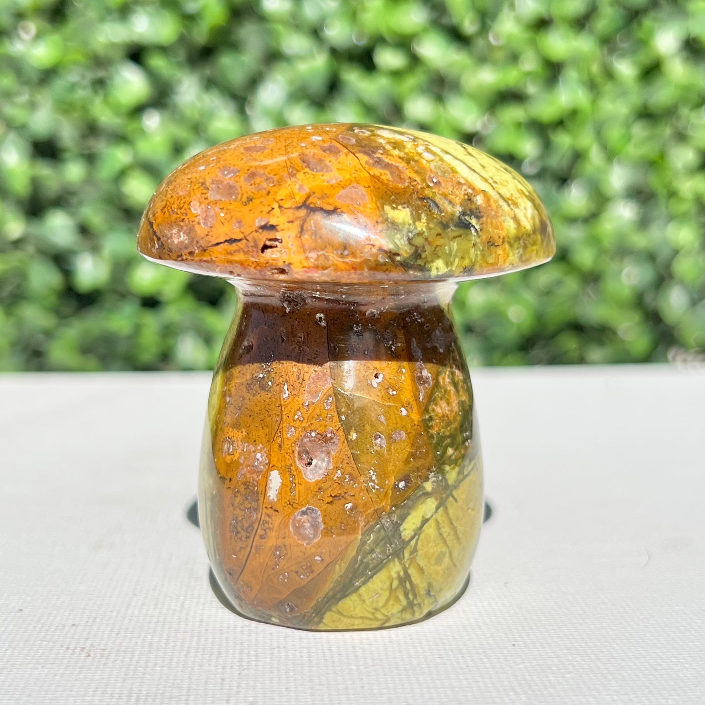 Kiwi Opal Mushroom