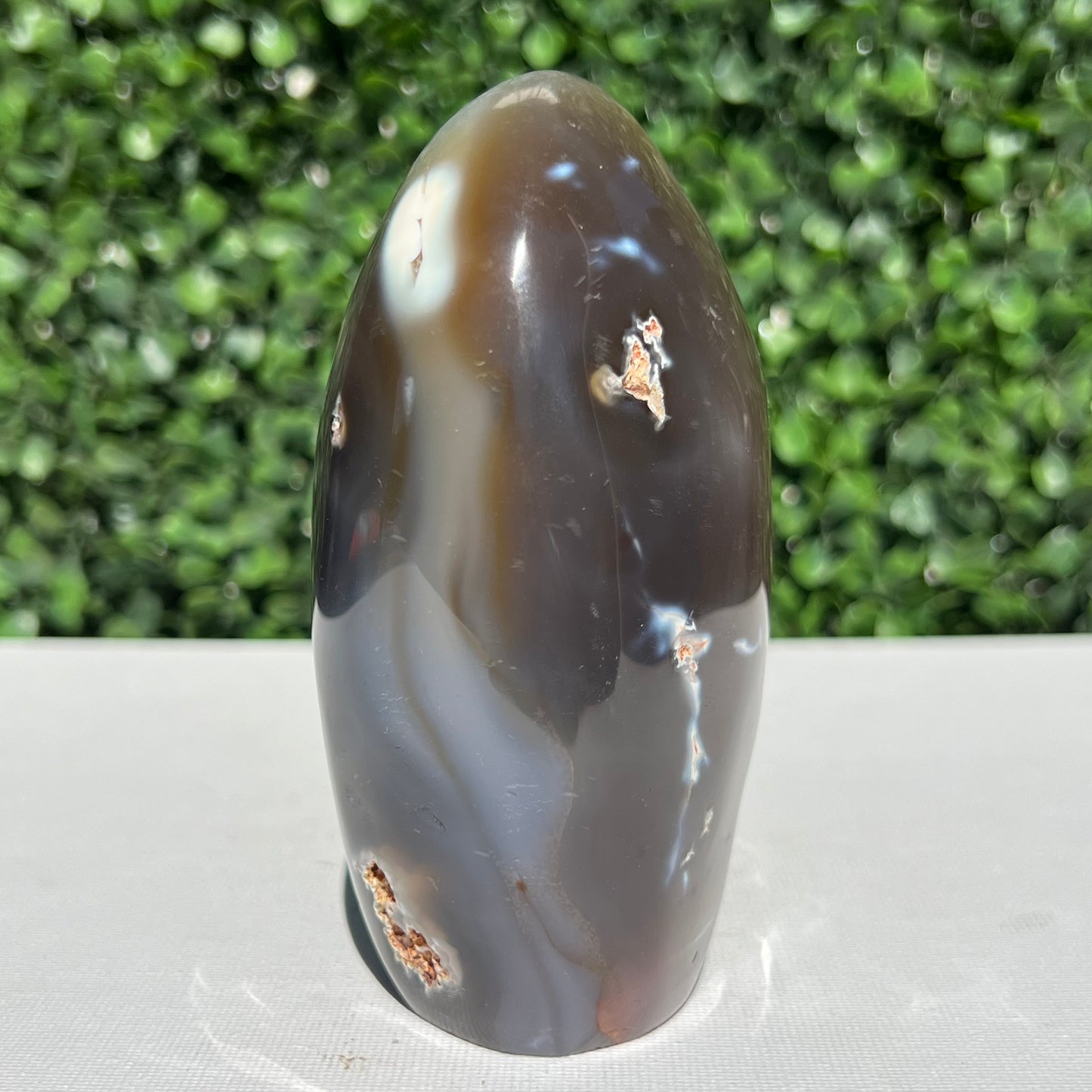 Orca Agate Free Form