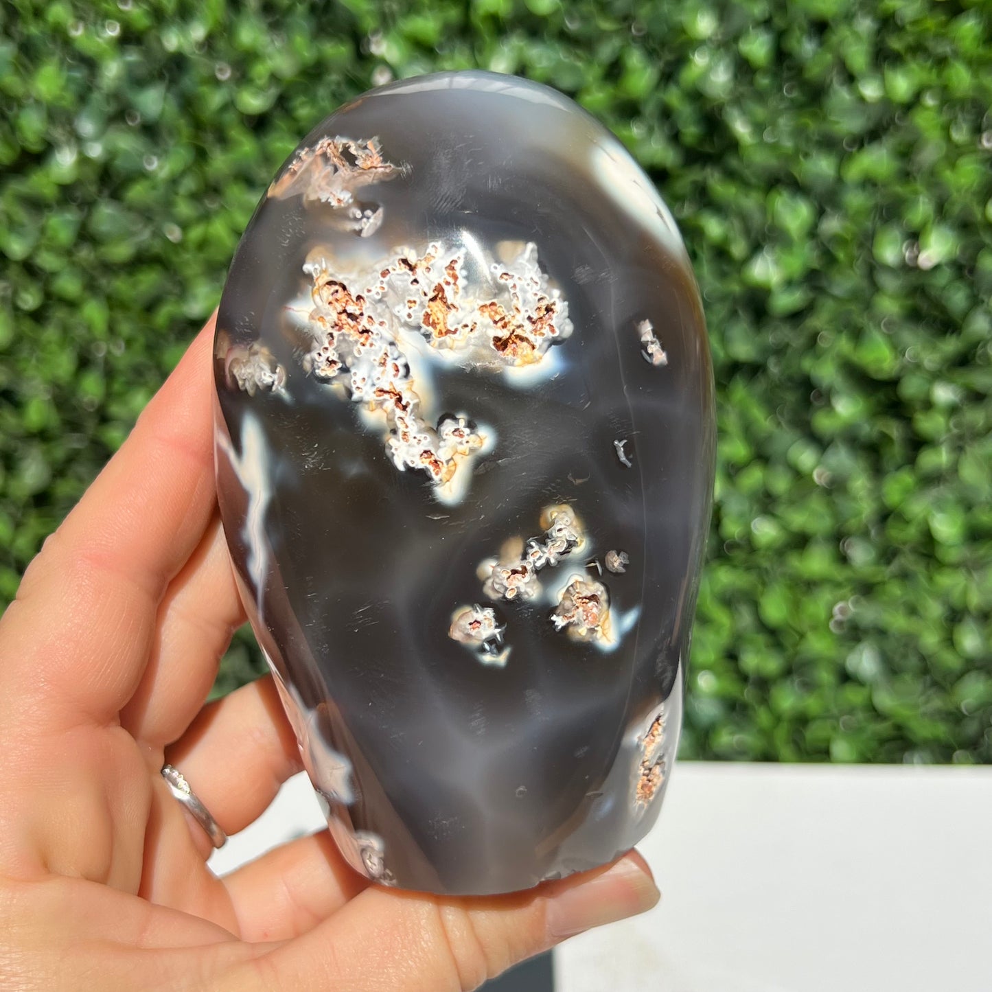 Orca Agate Free Form