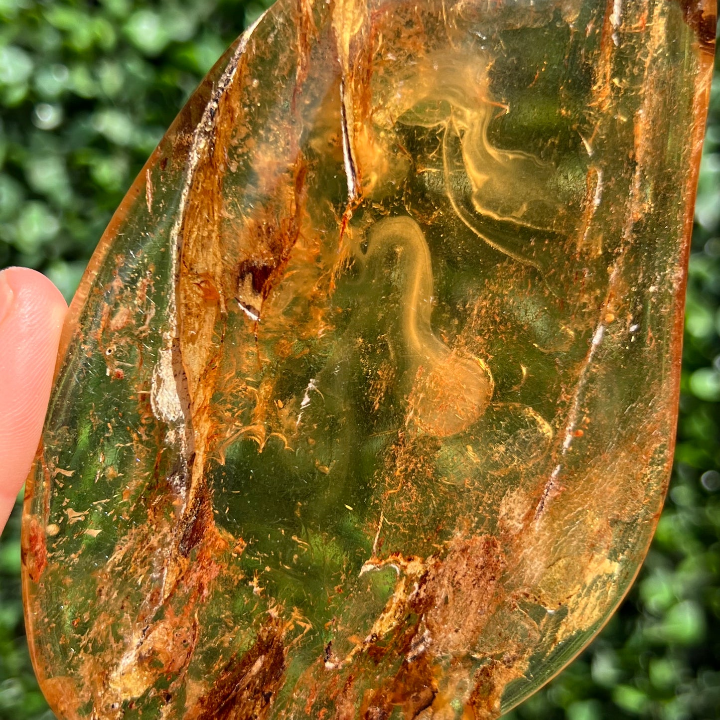 COPAL AMBER RARE SPECIMEN