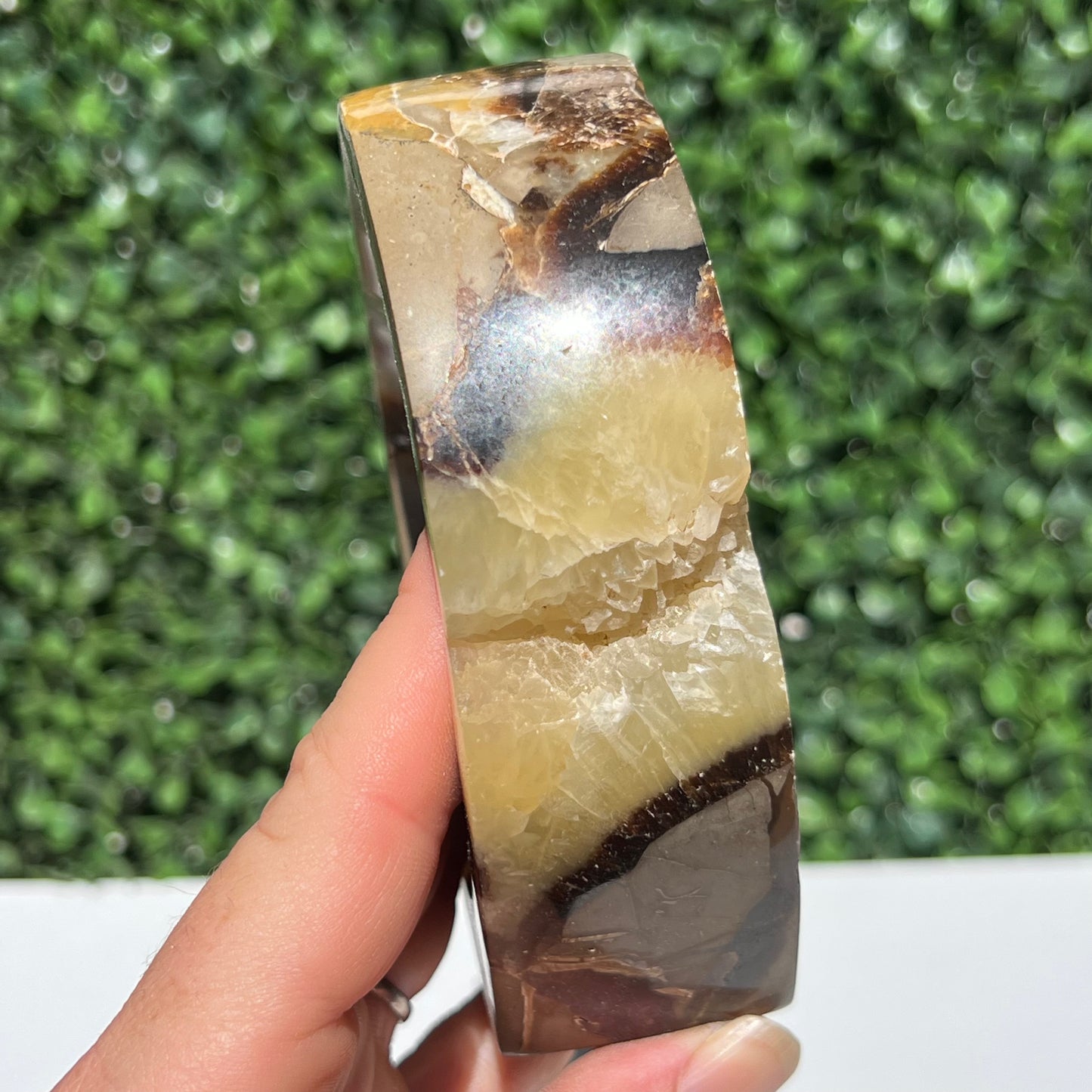 Septarian Yellow Calcite Bowl