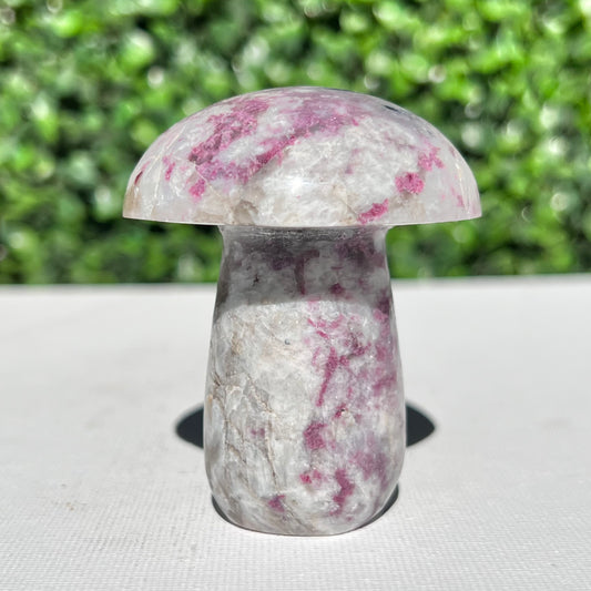 Eudialyte Mushroom