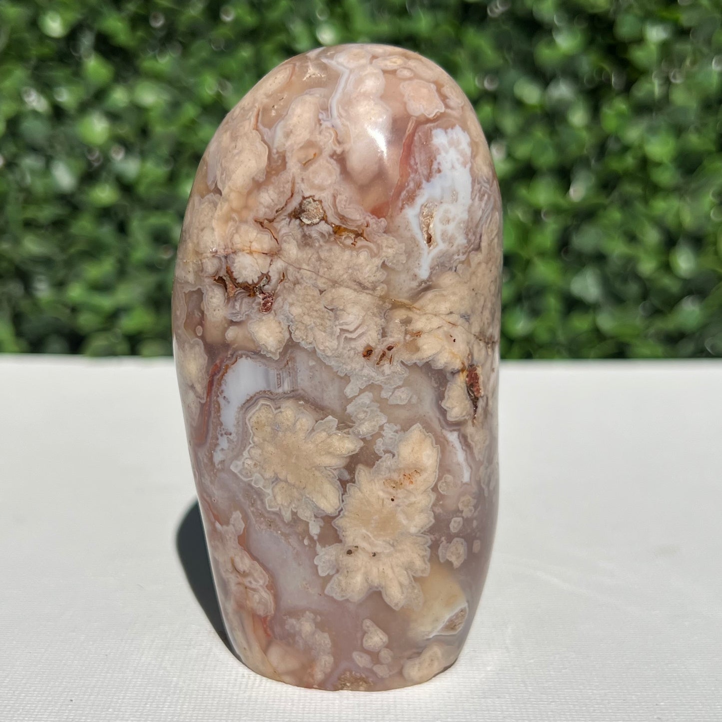 Flower Agate Free Form