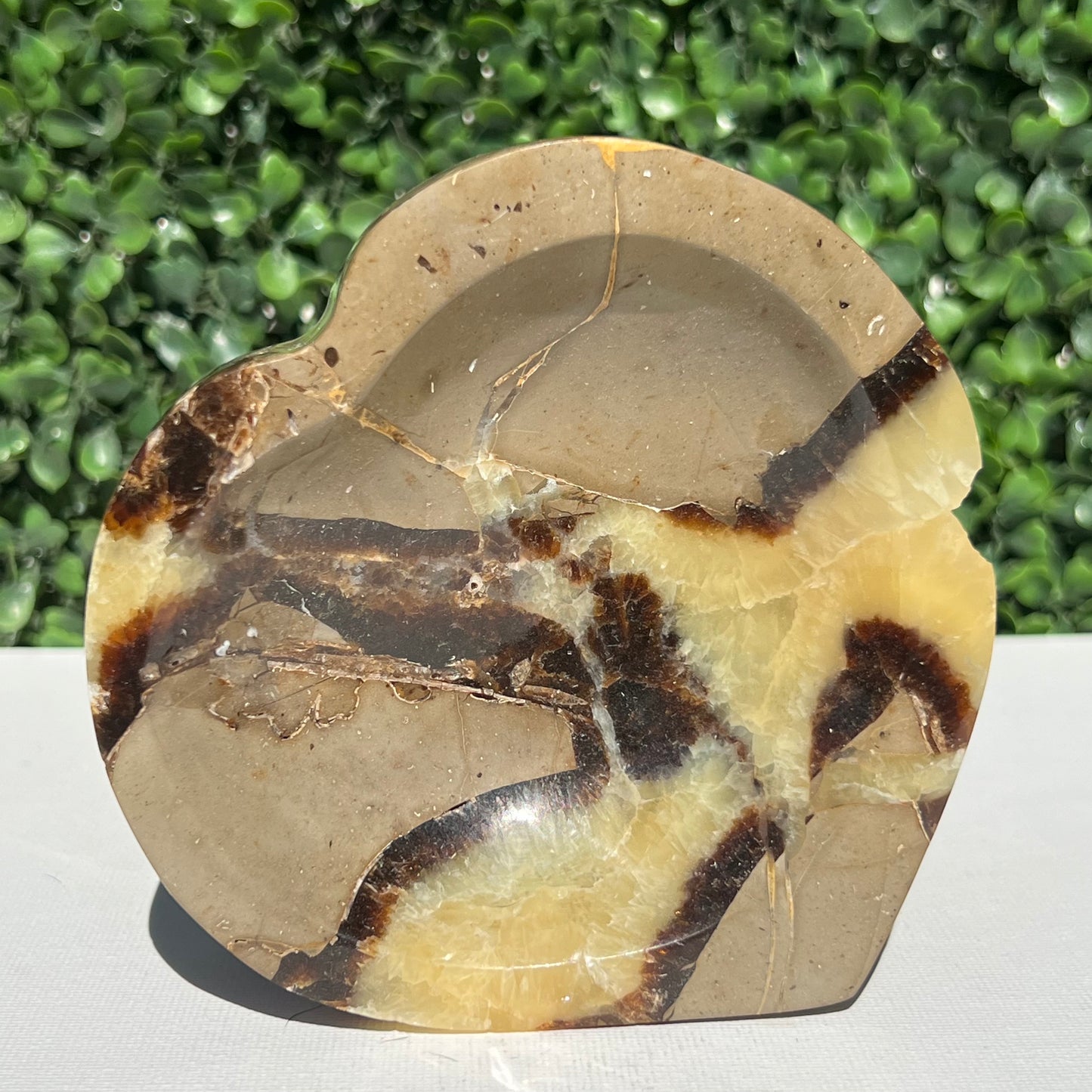 Septarian Yellow Calcite Bowl