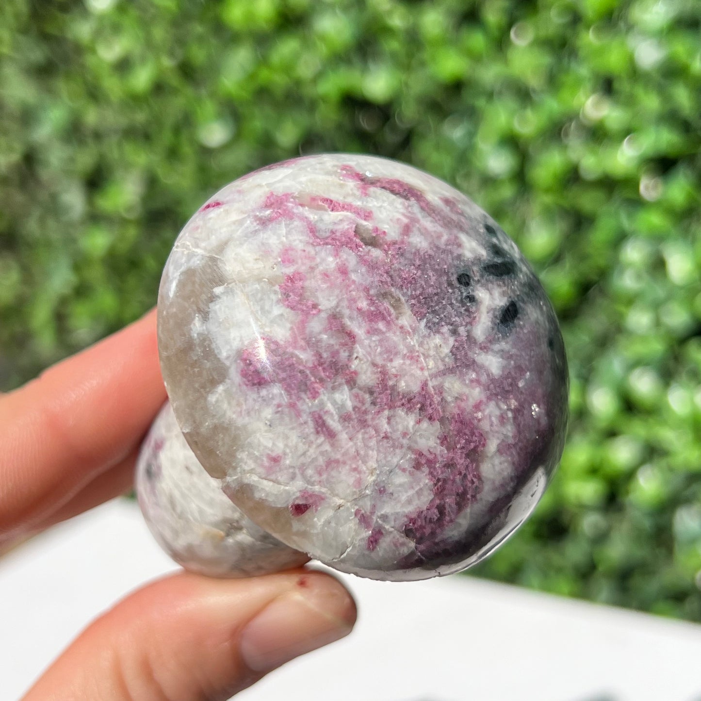 Eudialyte Mushroom