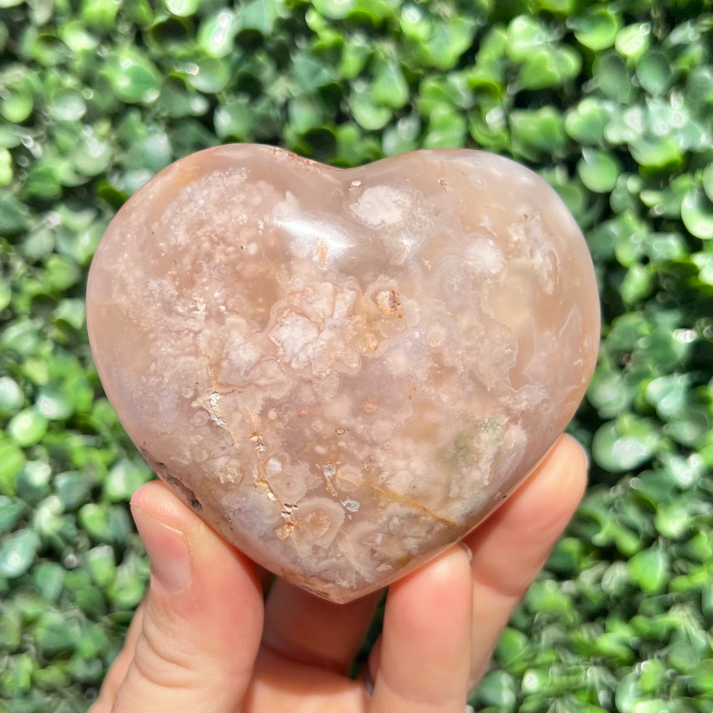Flower Agate Heart