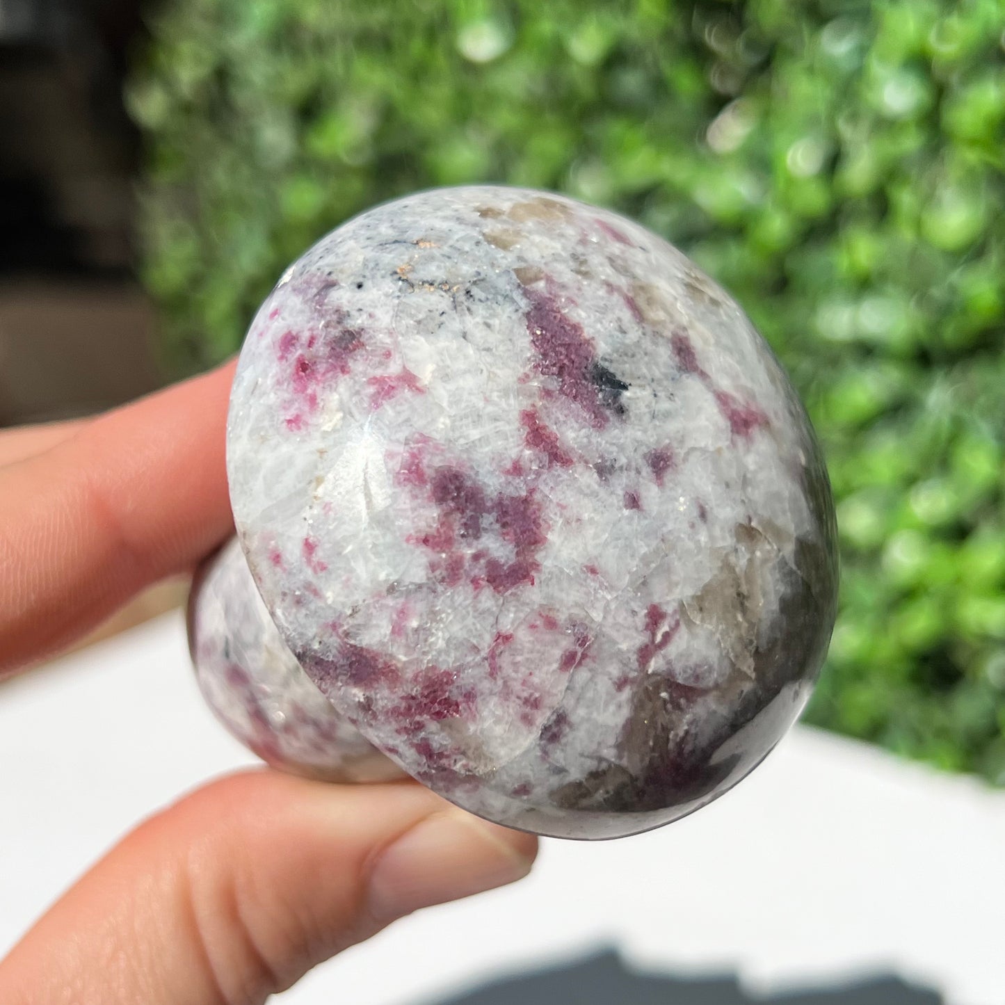 Eudialyte Mushroom