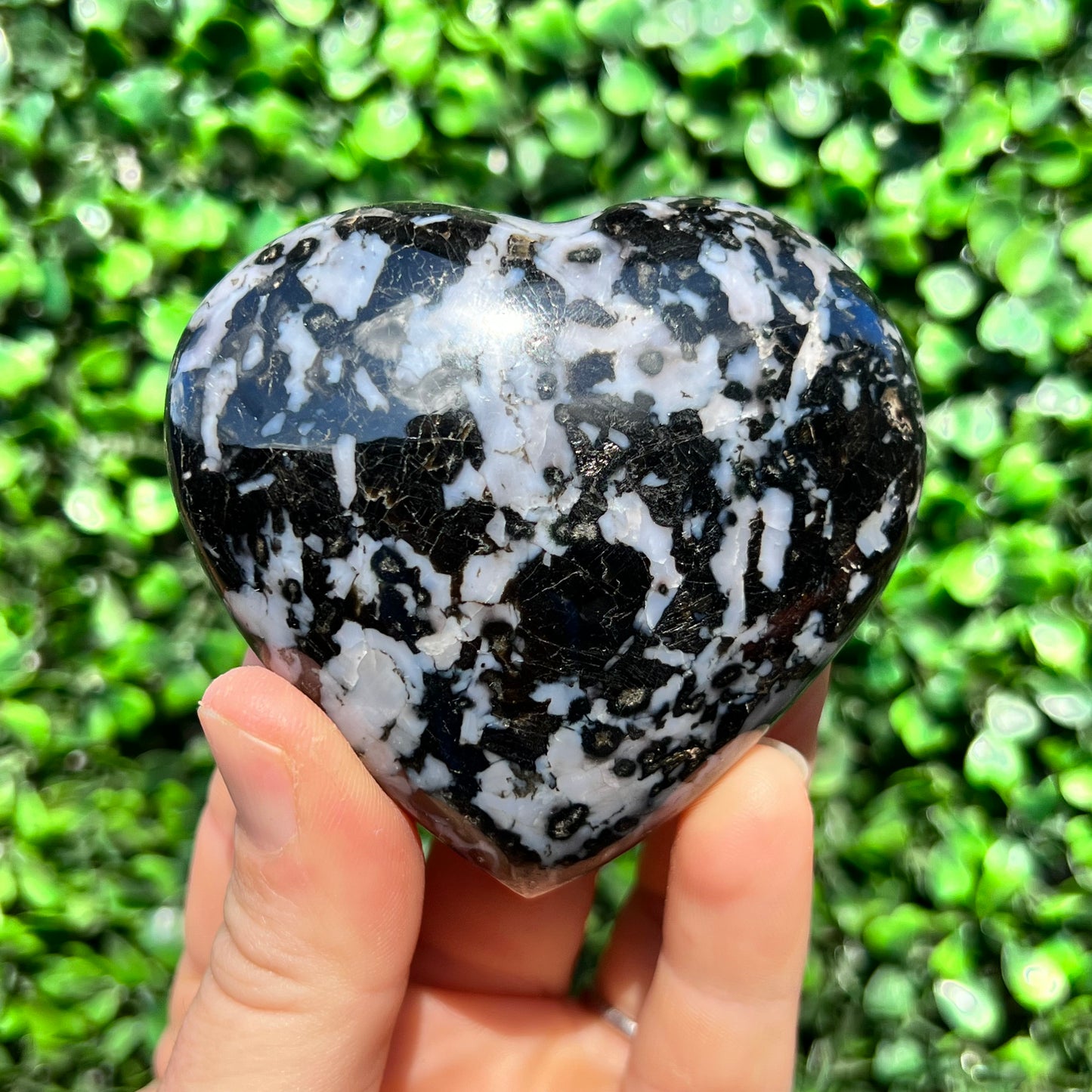 Mystic Merlinite Gabbro Heart