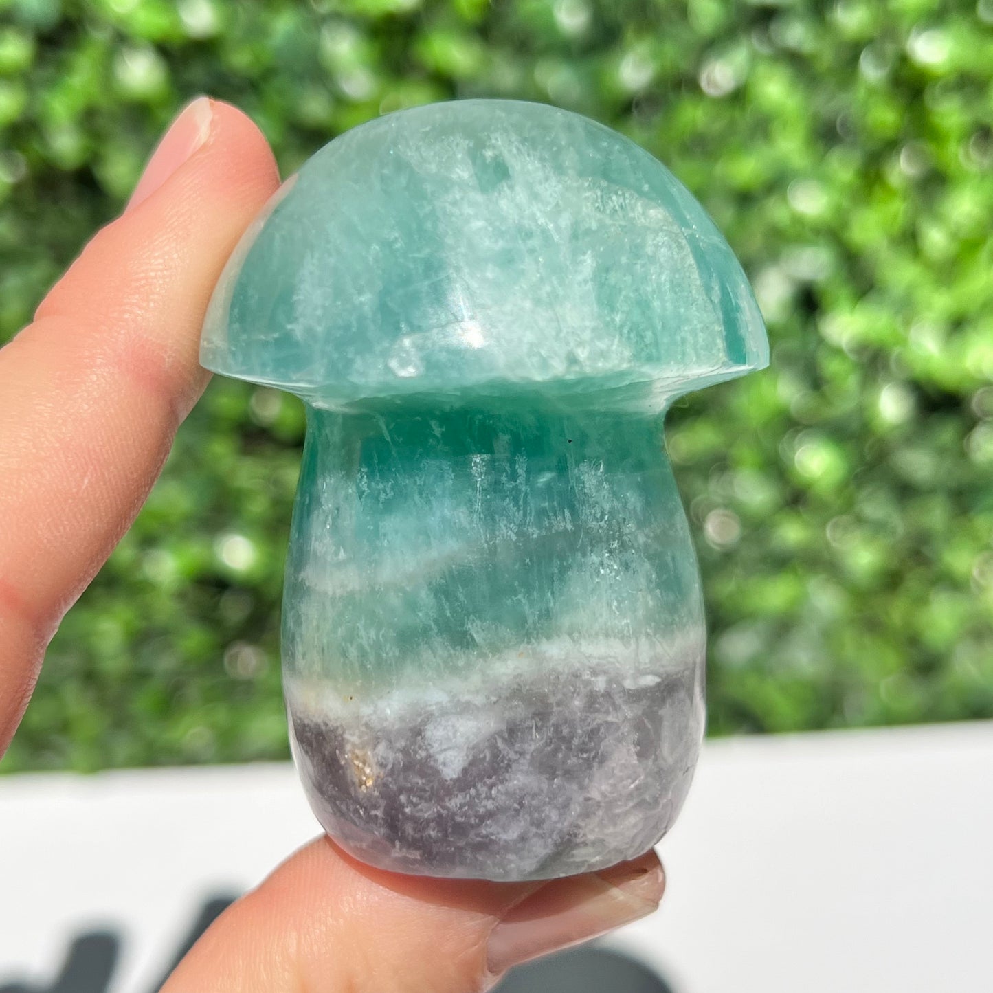 Fluorite Mushroom