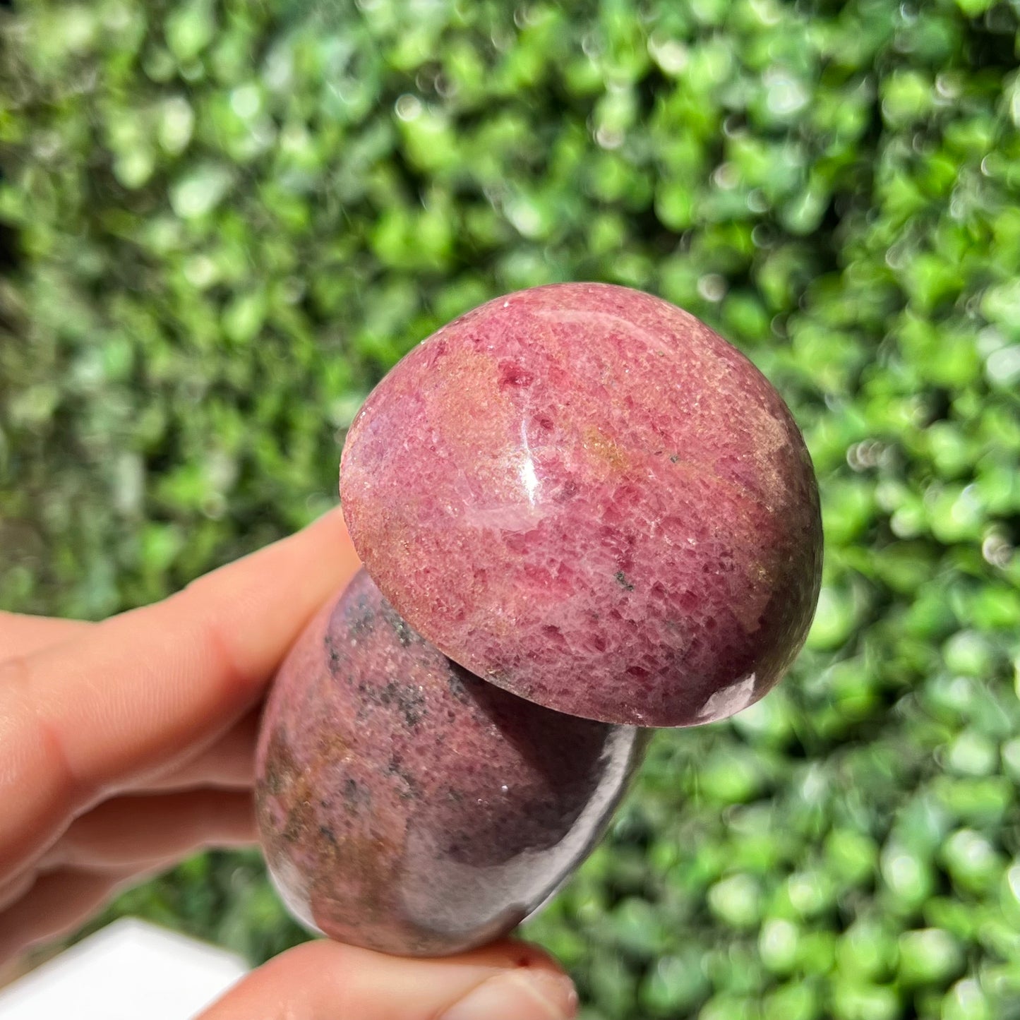 Rhodonite Mushroom