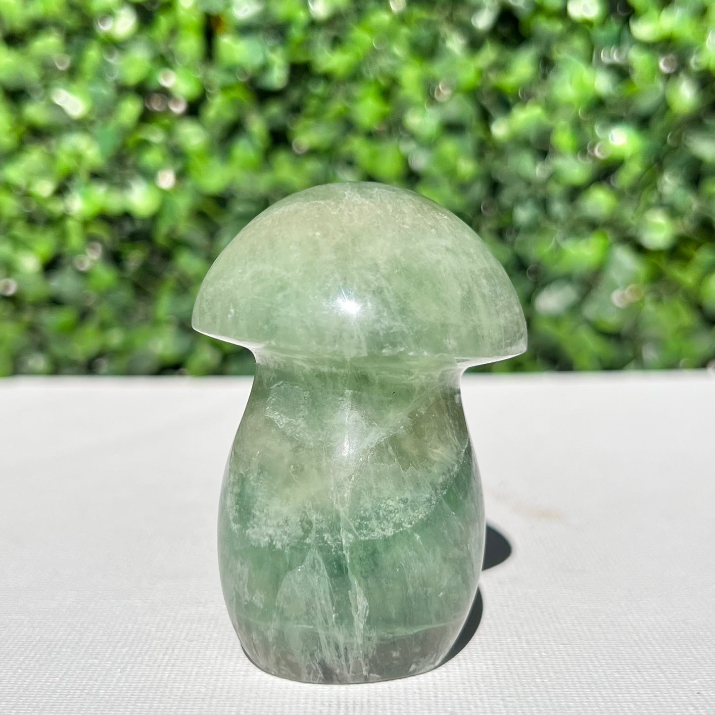 Fluorite Mushroom