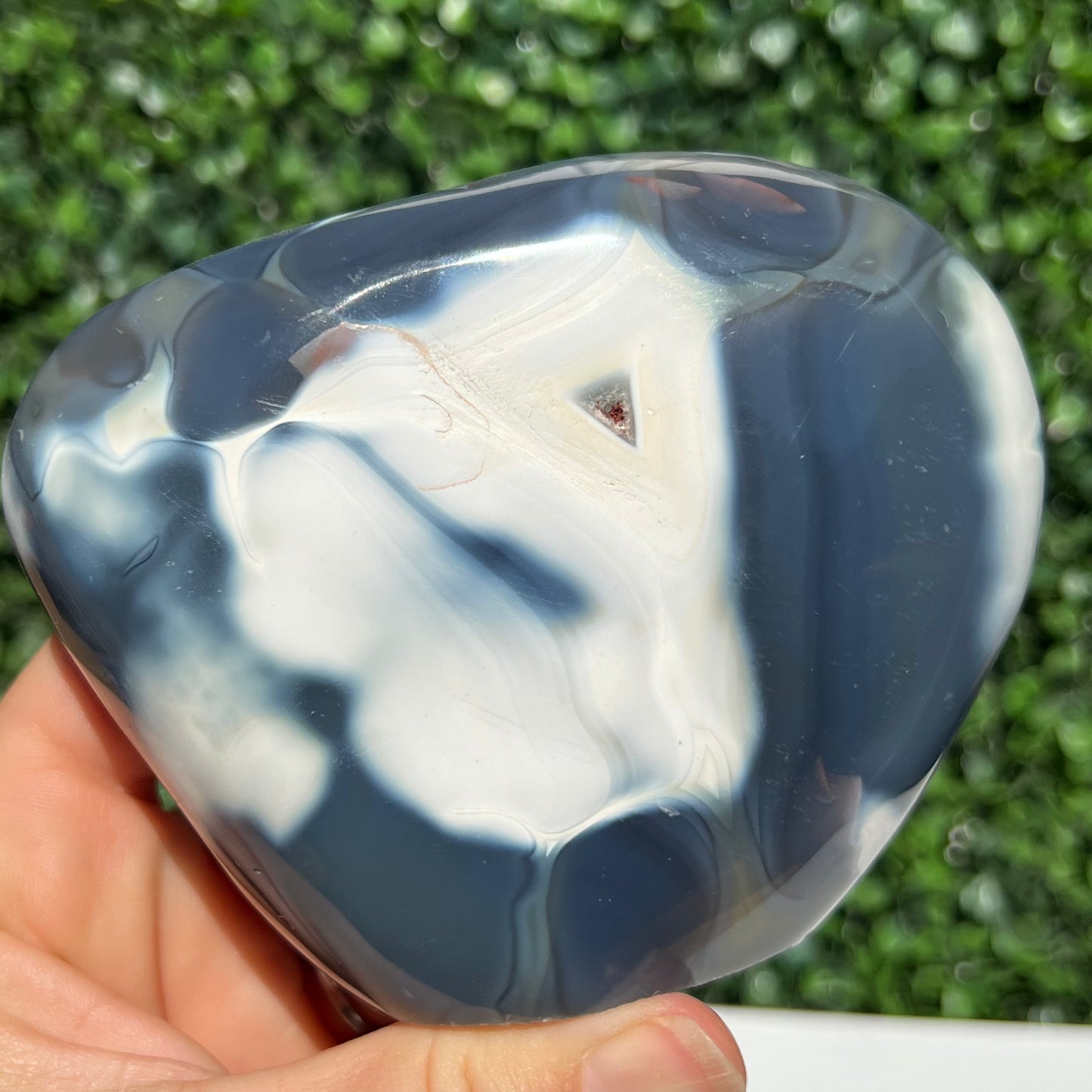 Orca Agate Free Form