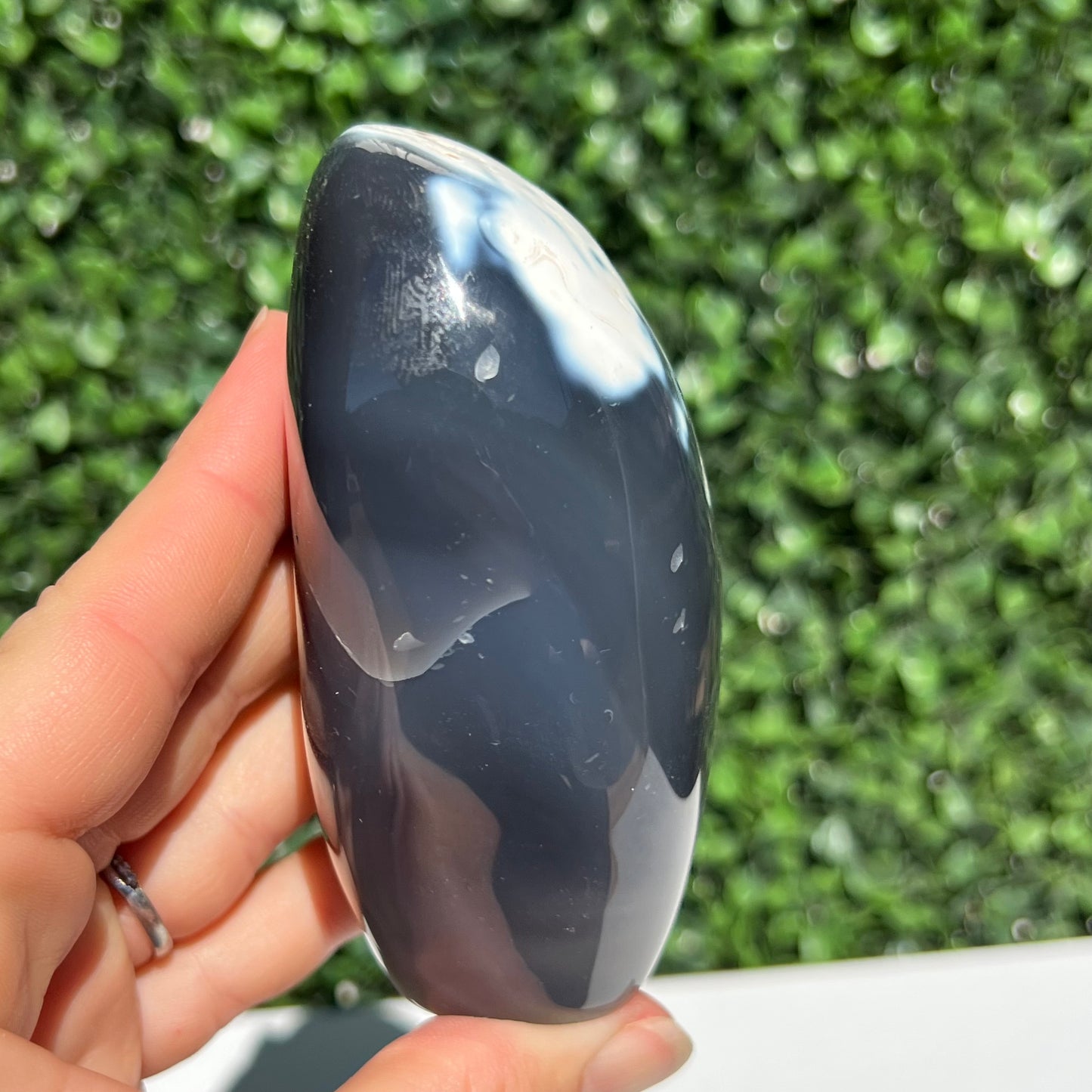 Orca Agate Free Form
