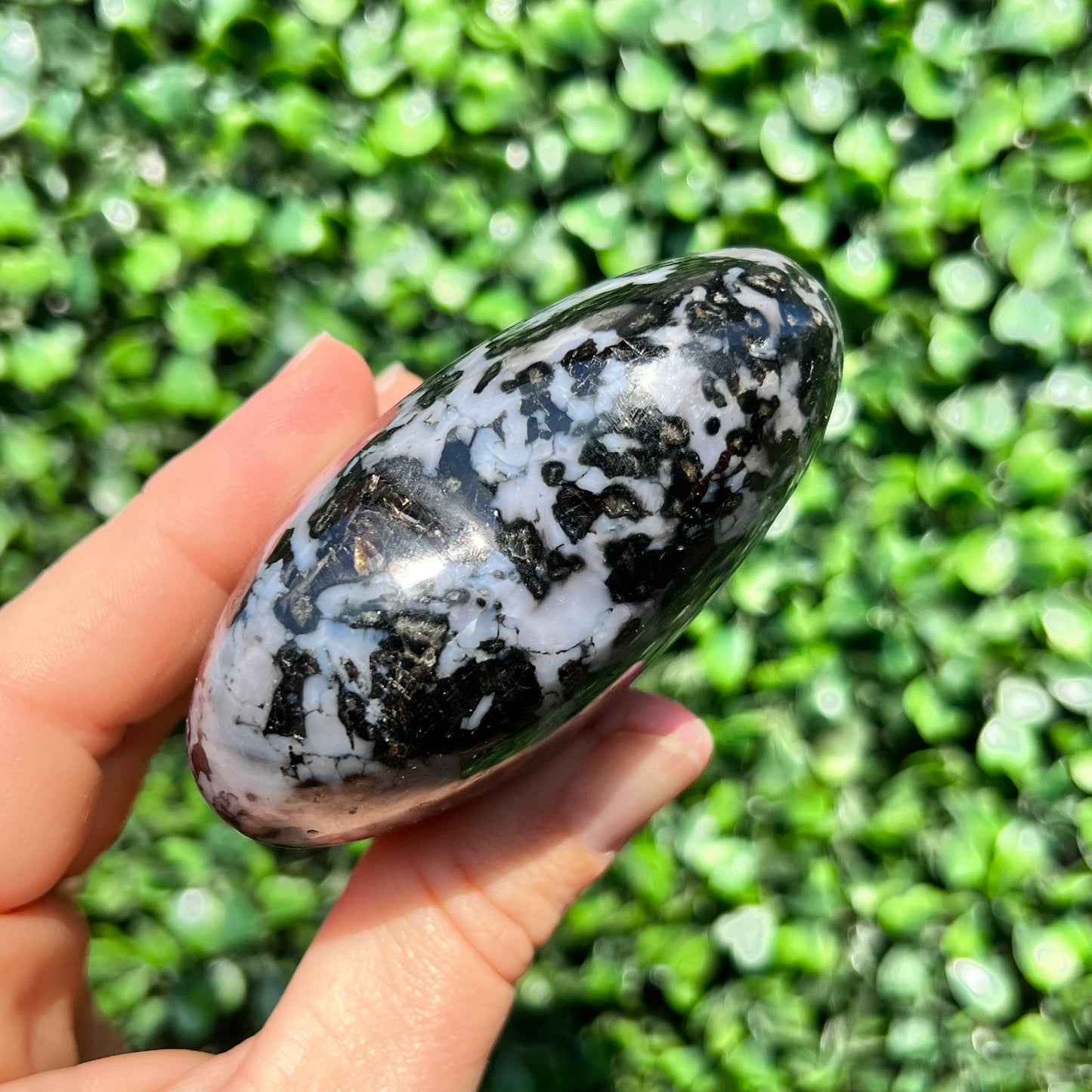 Mystic Merlinite Gabbro Heart
