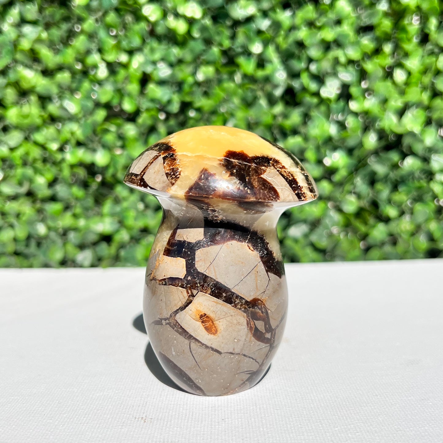Septarian Yellow Calcite Mushroom