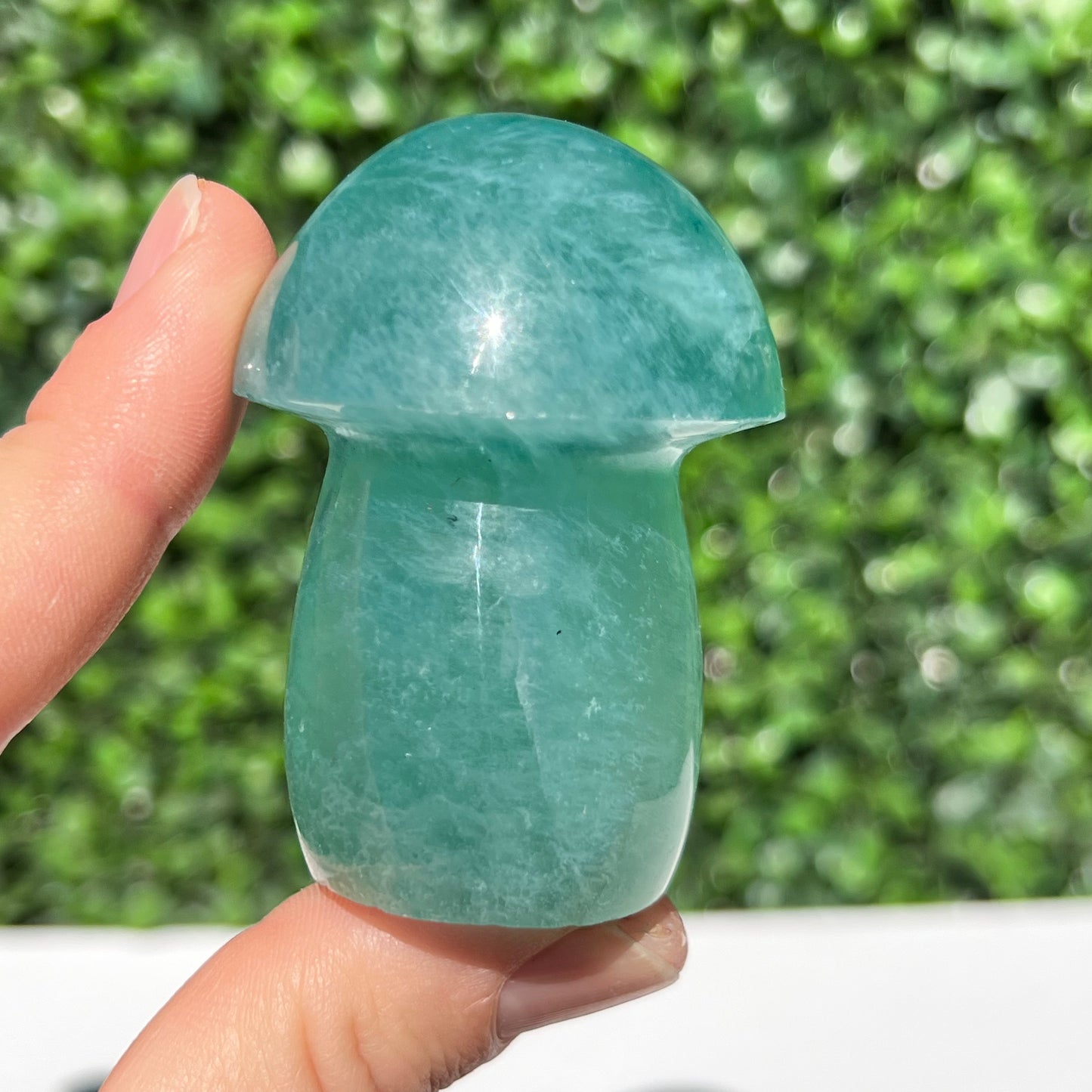 Fluorite Mushroom