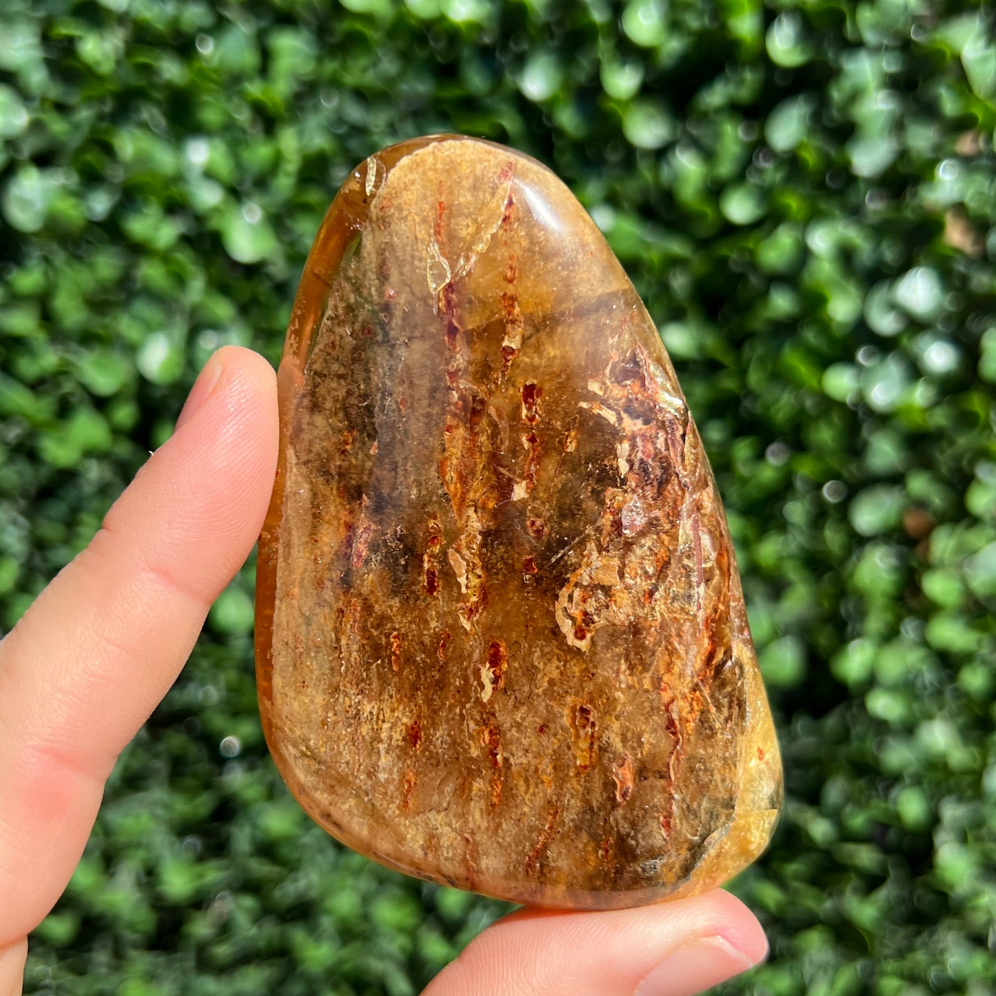 COPAL AMBER RARE SPECIMEN