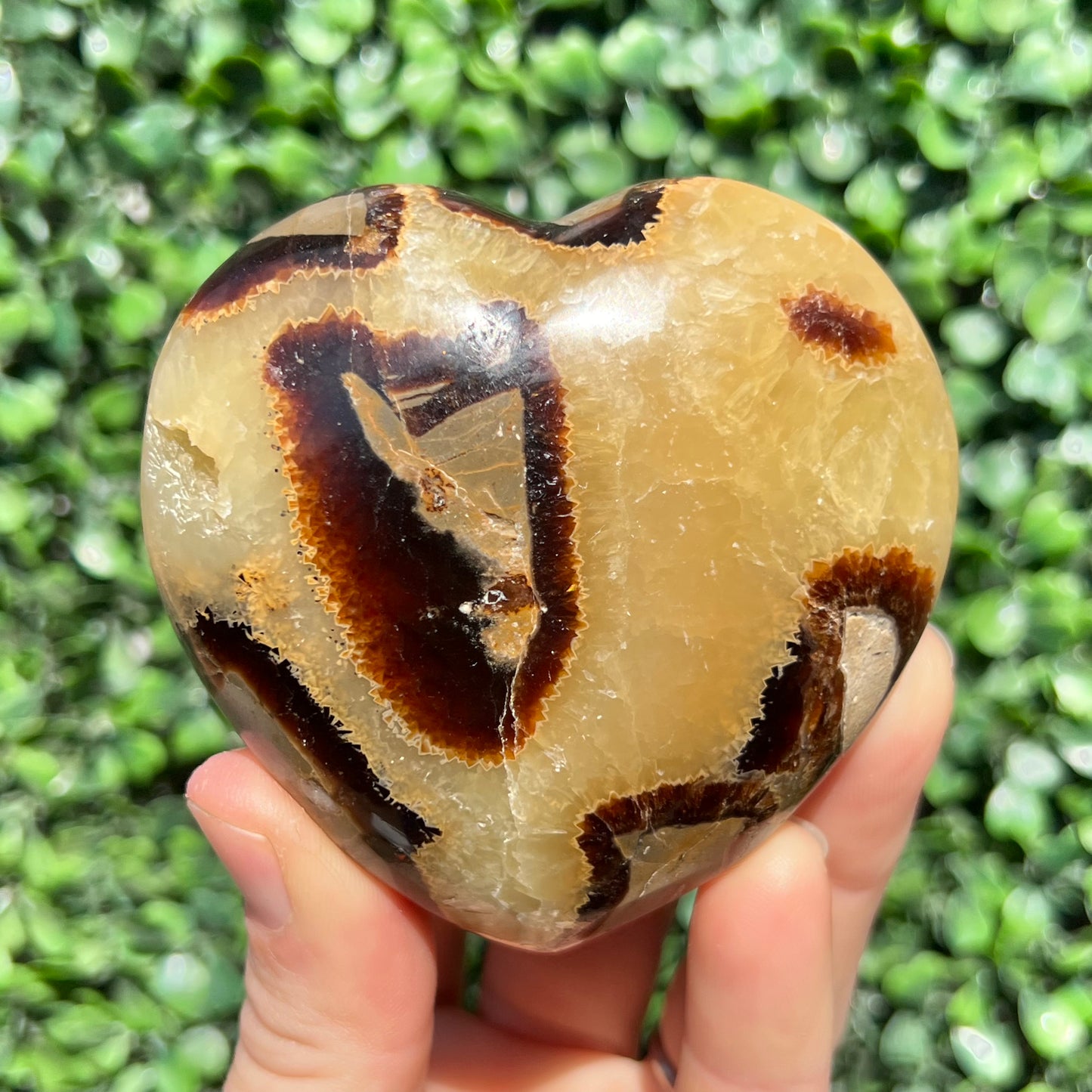 Septarian Yellow Calcite Heart