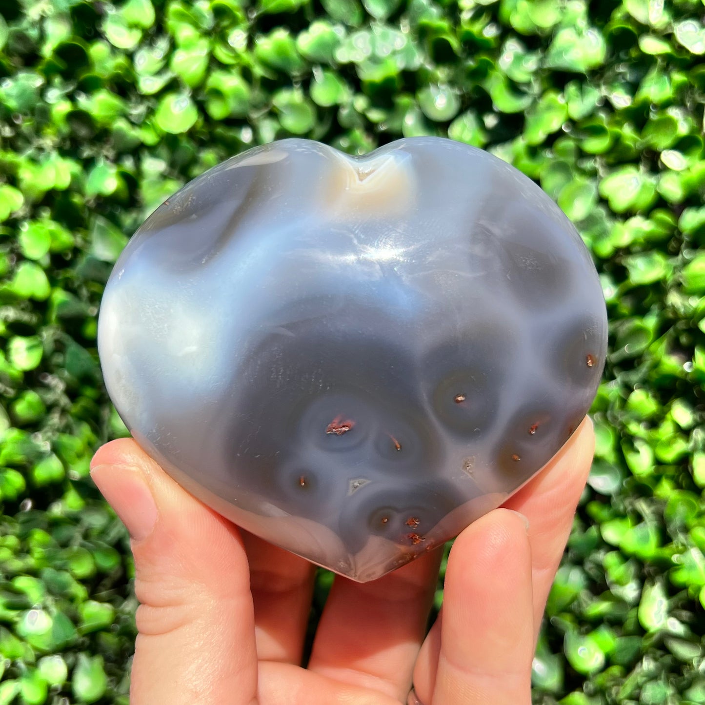 Orca Agate Heart