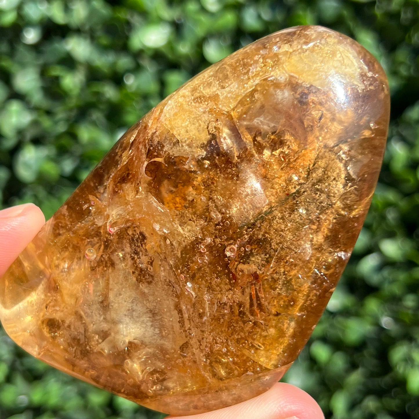 COPAL AMBER RARE SPECIMEN