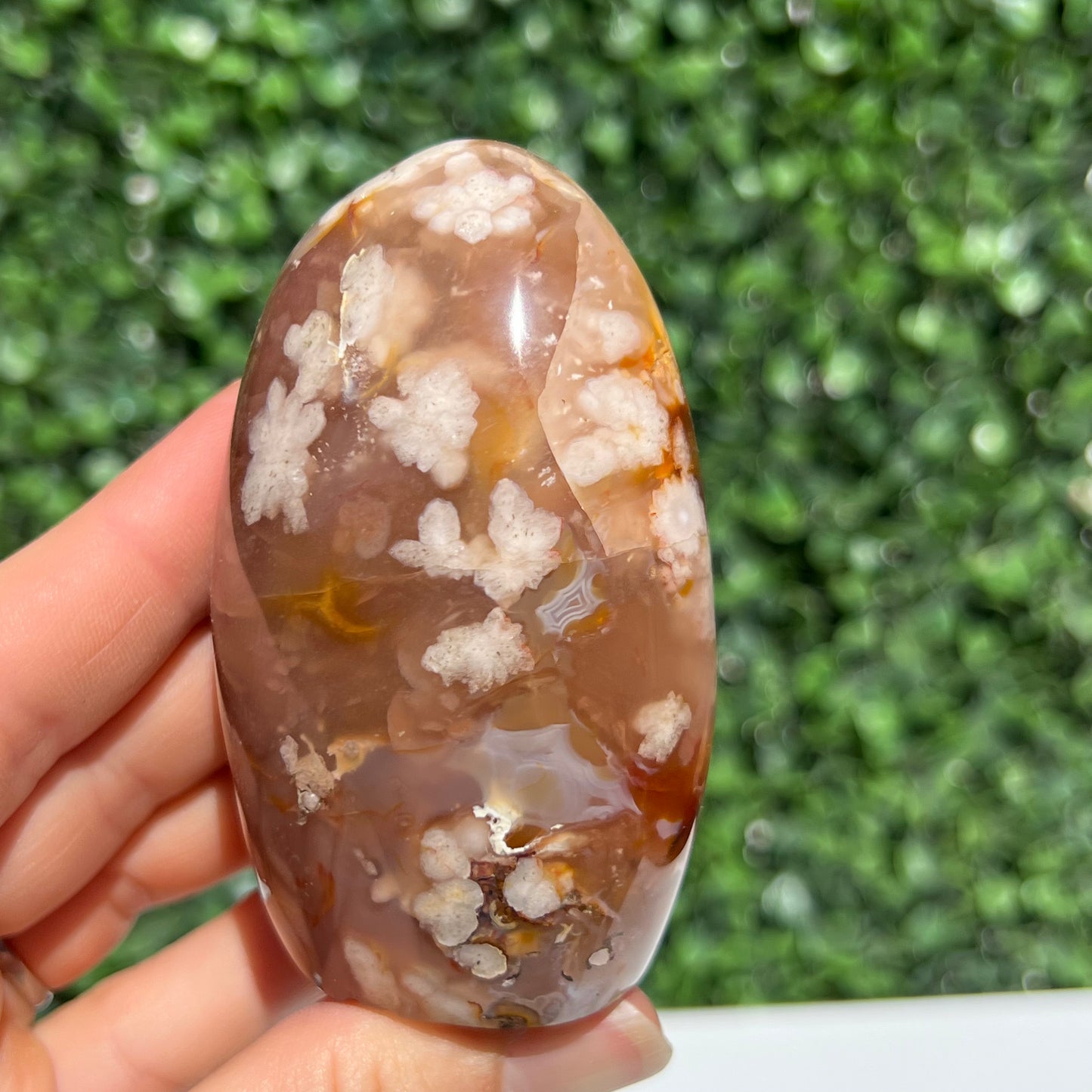 Flower Agate Free Form