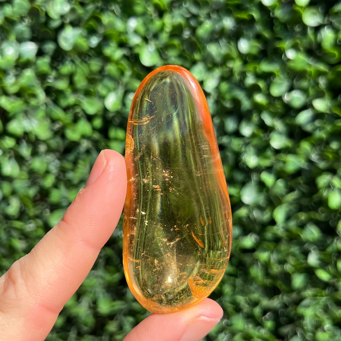 COPAL AMBER RARE SPECIMEN