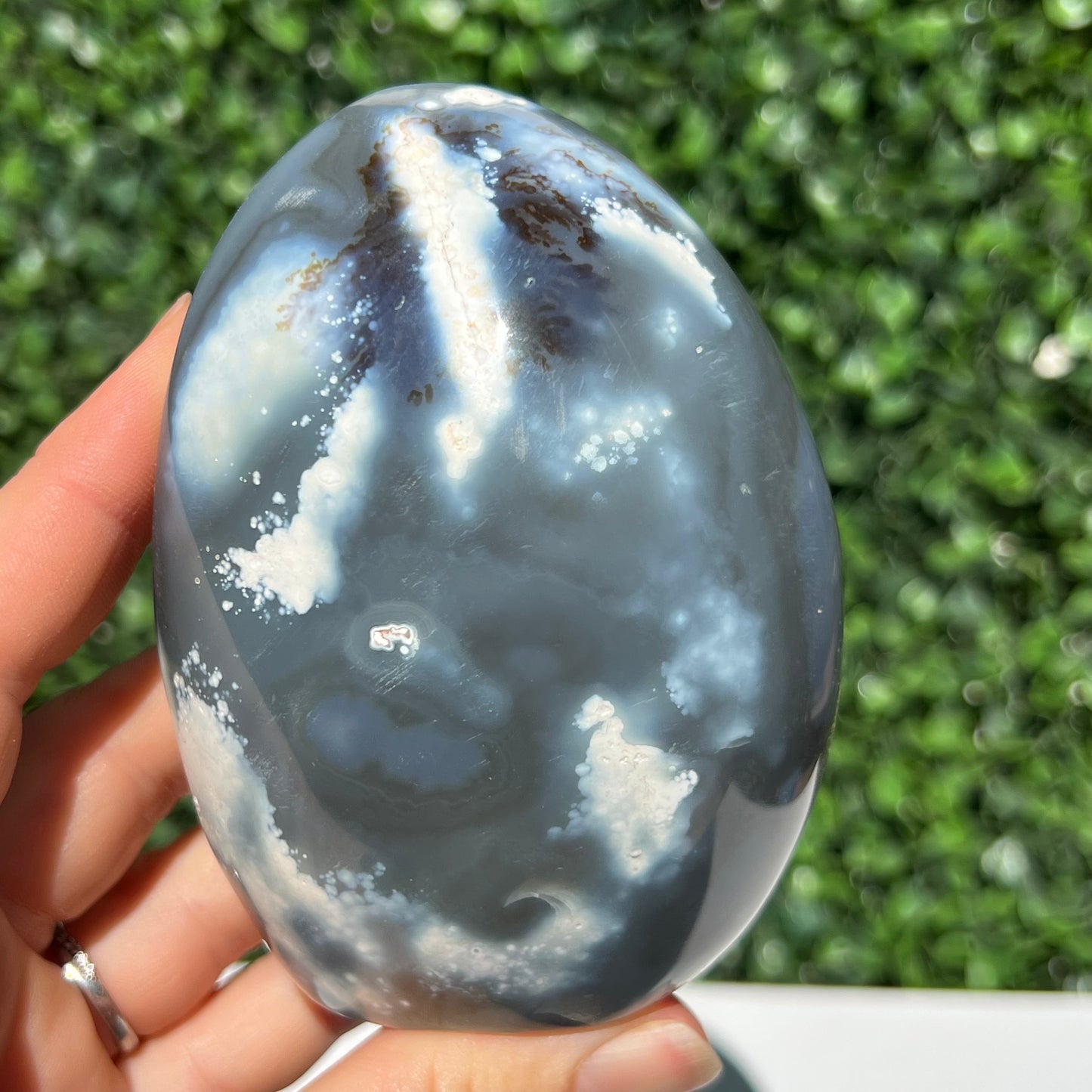 Orca Agate Free Form