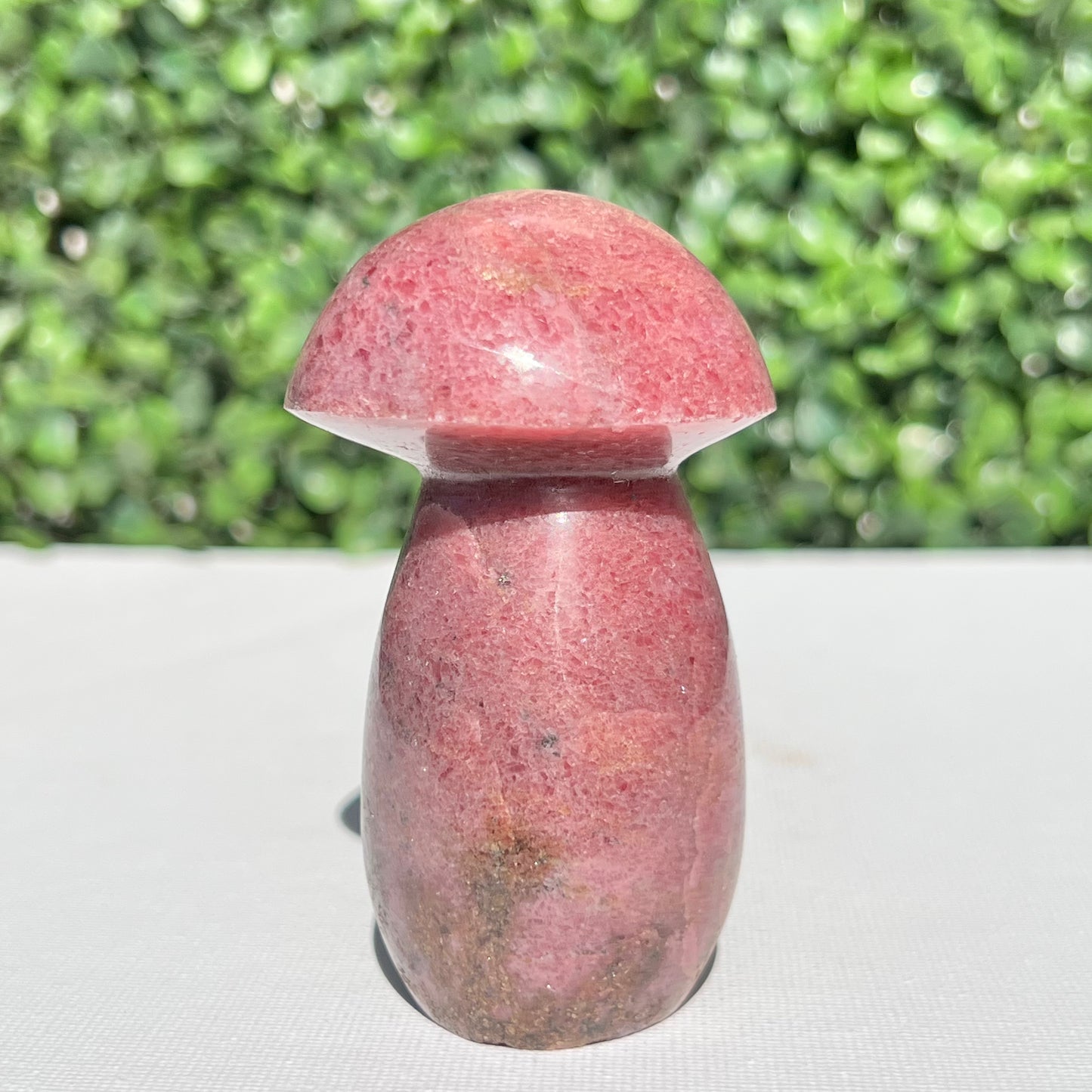 Rhodonite Mushroom