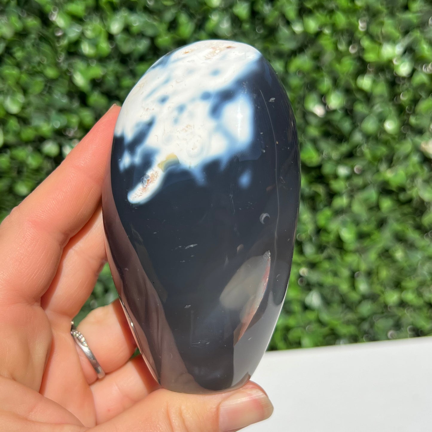 Orca Agate Free Form