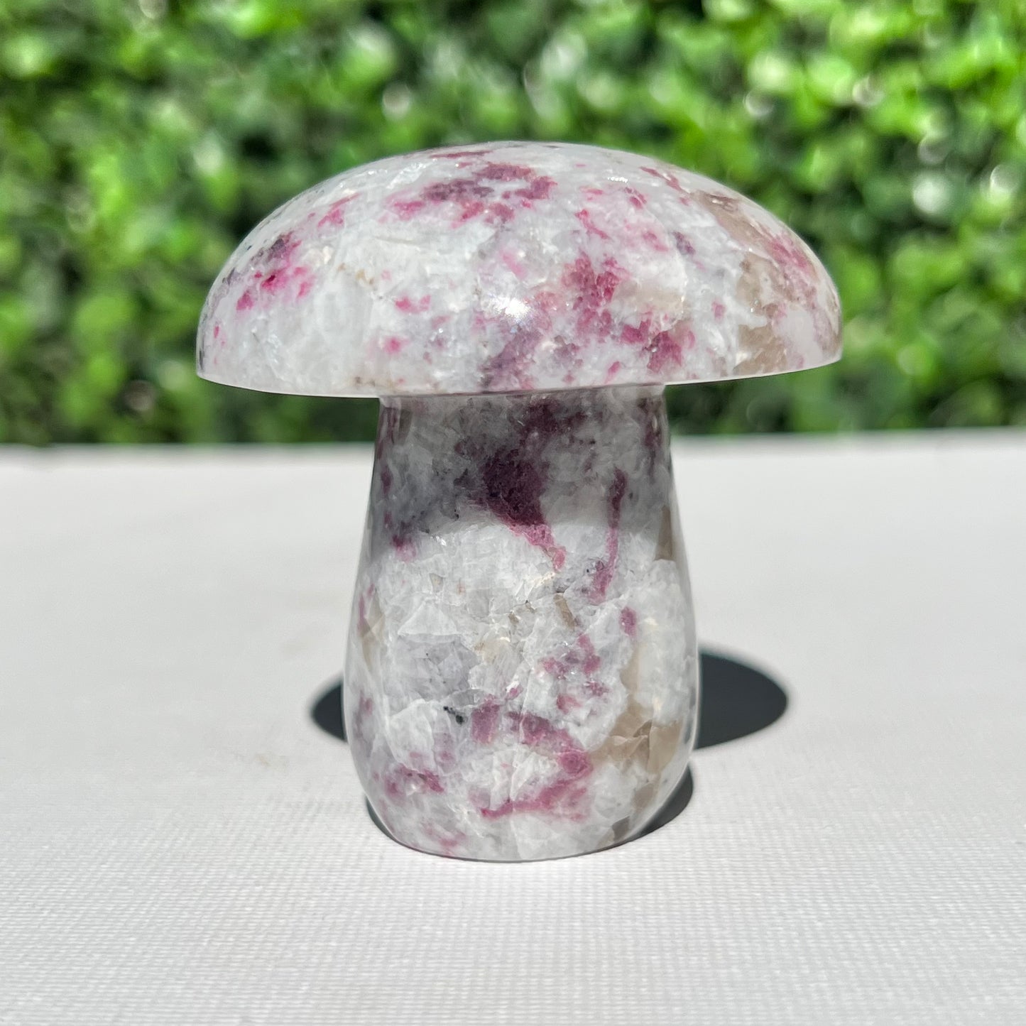 Eudialyte Mushroom