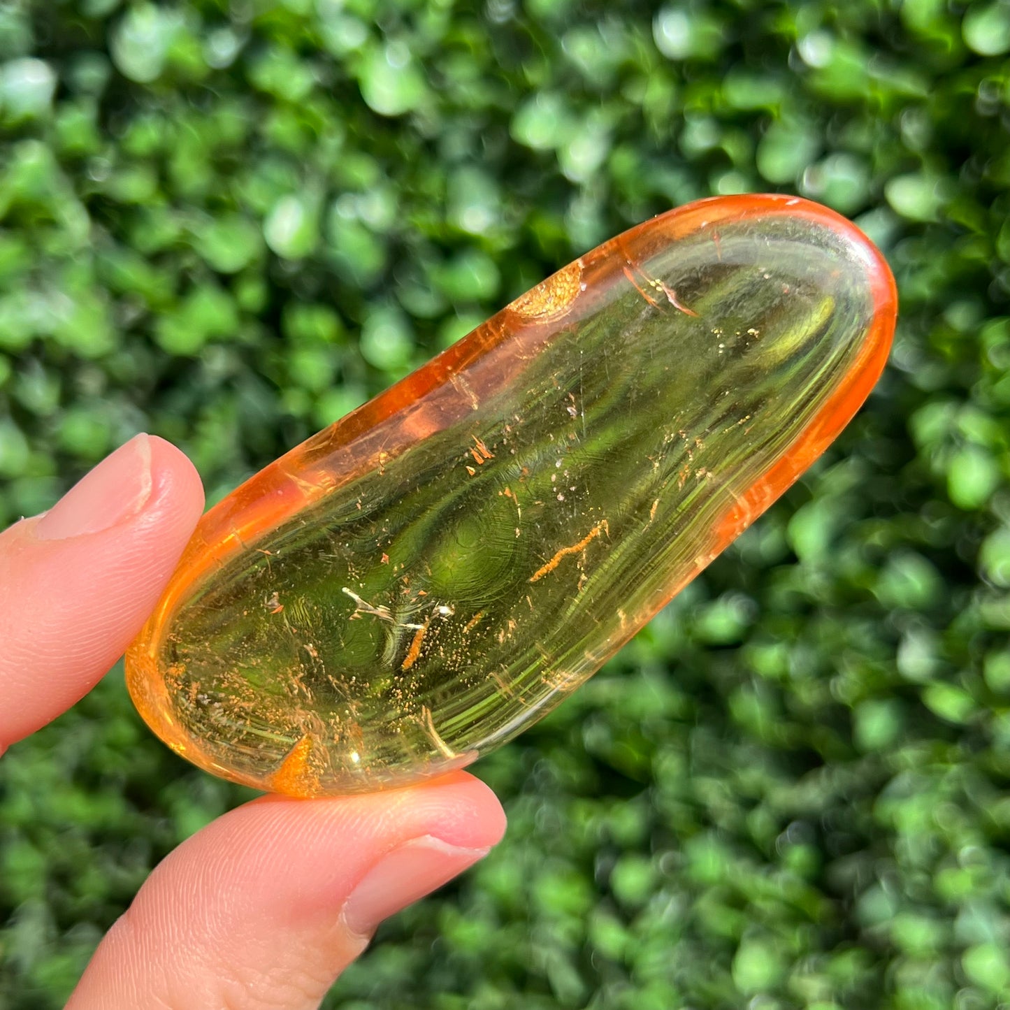 COPAL AMBER RARE SPECIMEN
