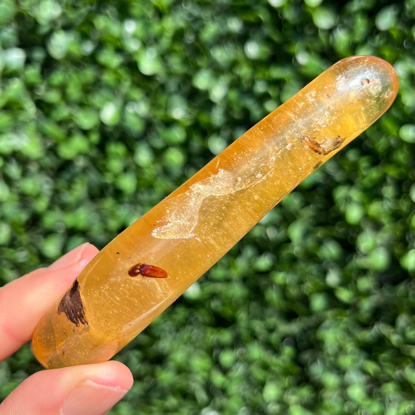 COPAL AMBER RARE SPECIMEN