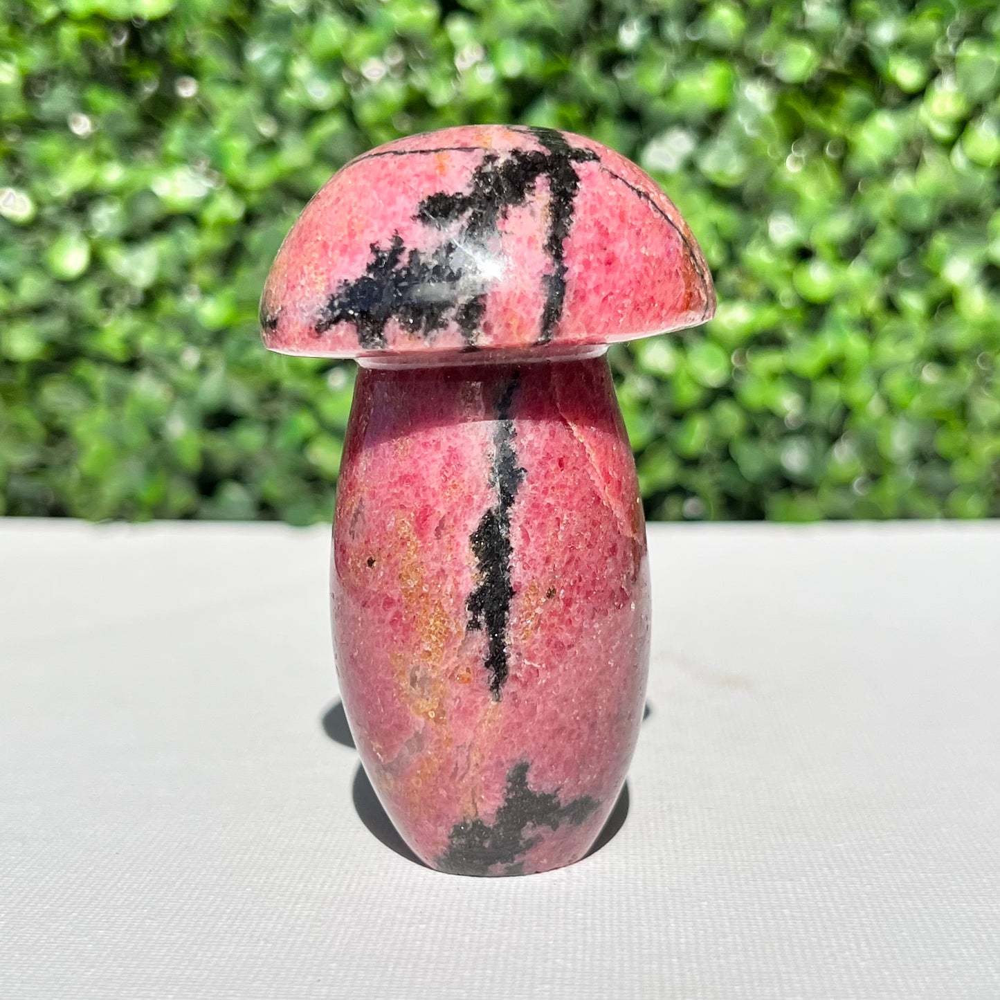 Rhodonite Mushroom