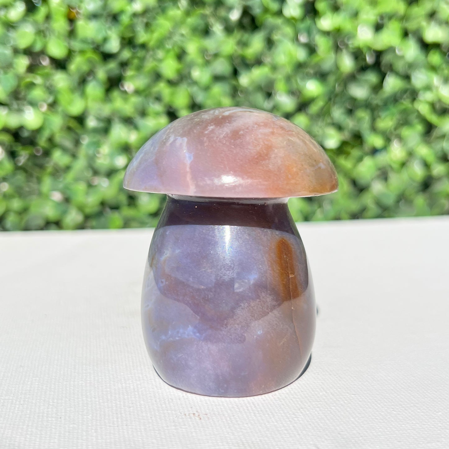 Polychrome Desert Japser Mushroom