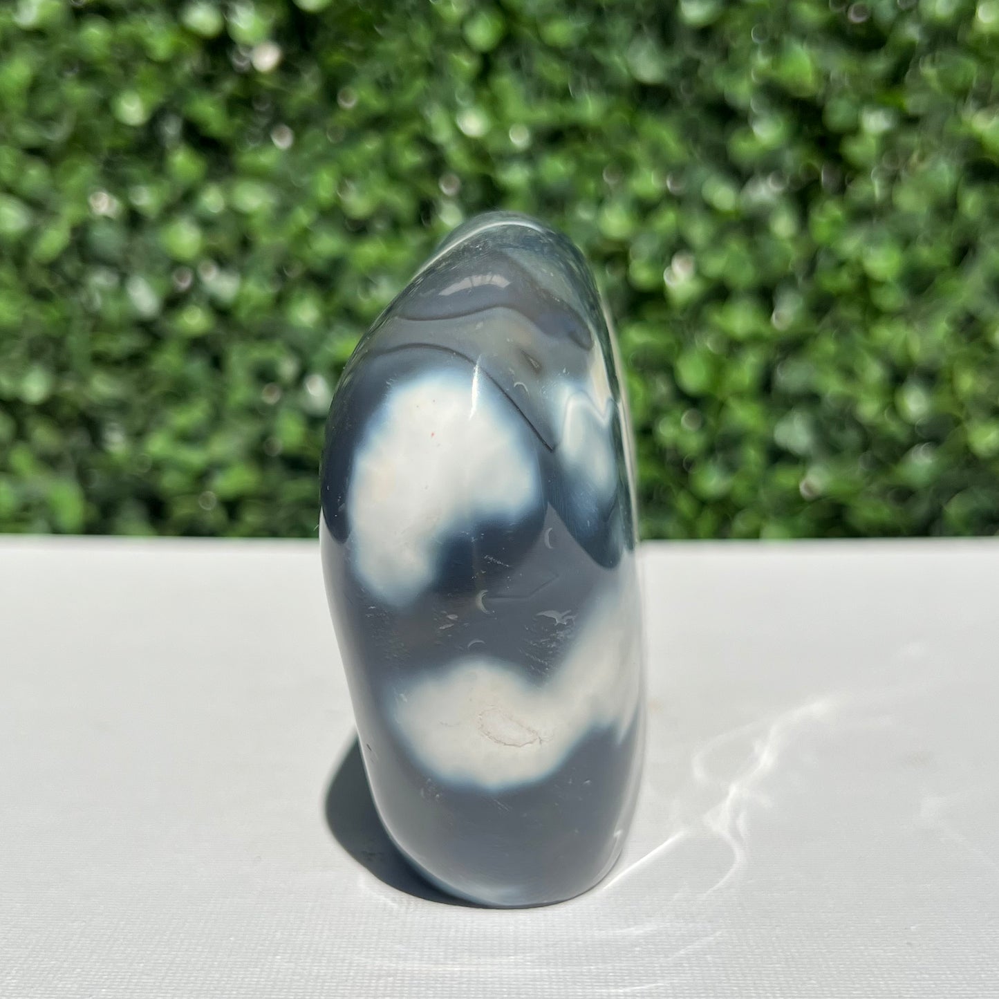 Orca Agate Free Form