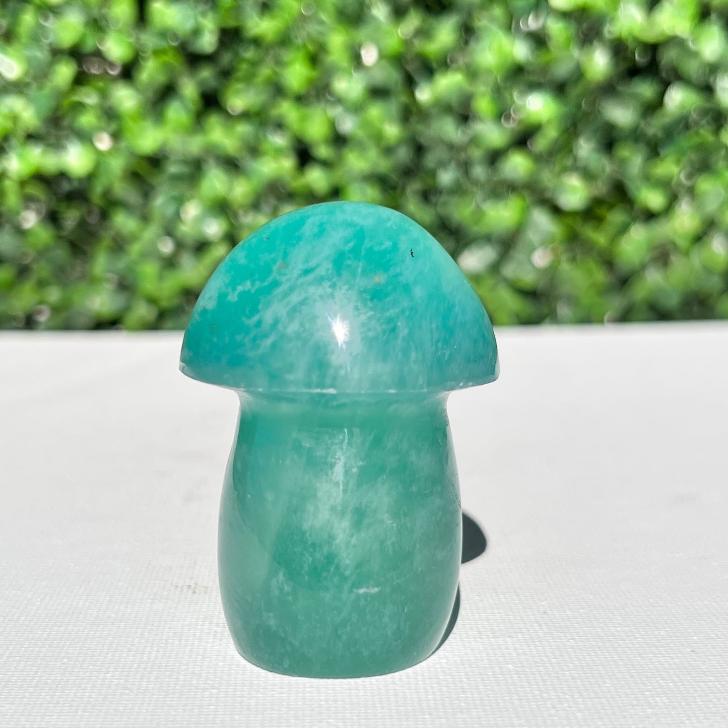 Fluorite Mushroom