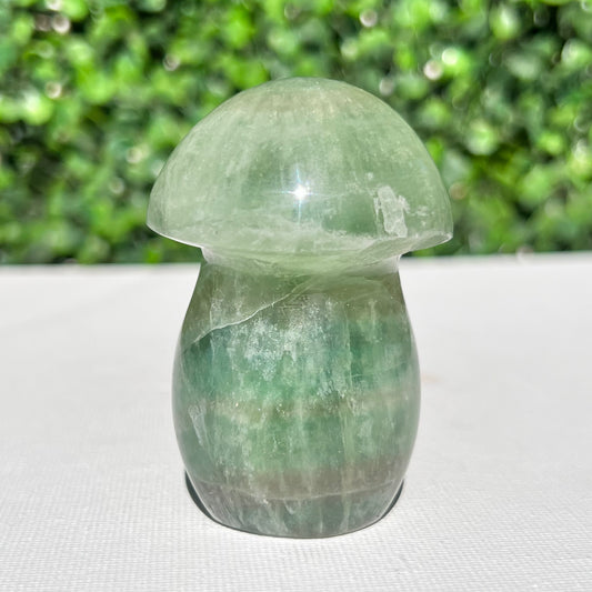 Fluorite Mushroom