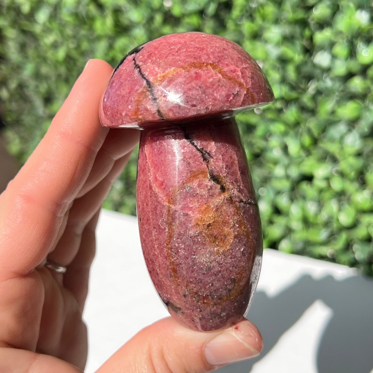Rhodonite Mushroom