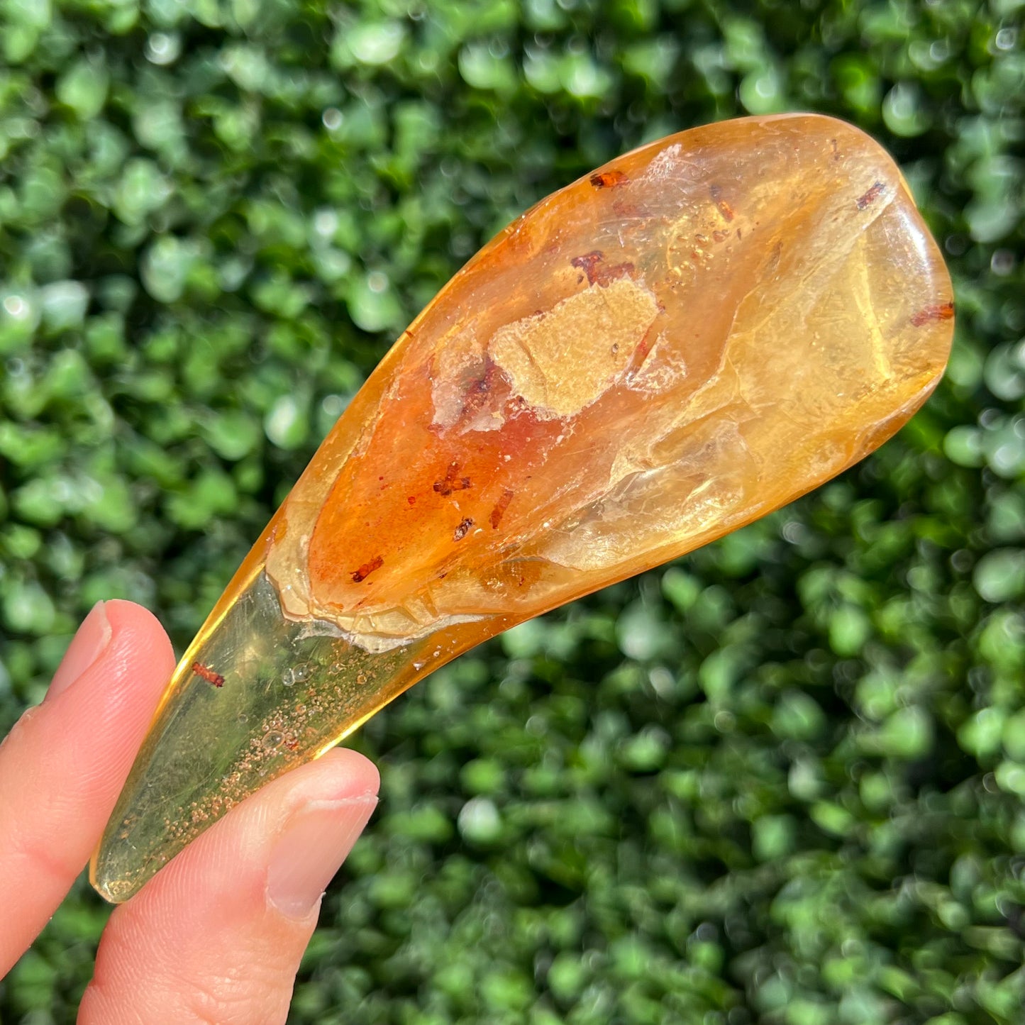 COPAL AMBER RARE SPECIMEN