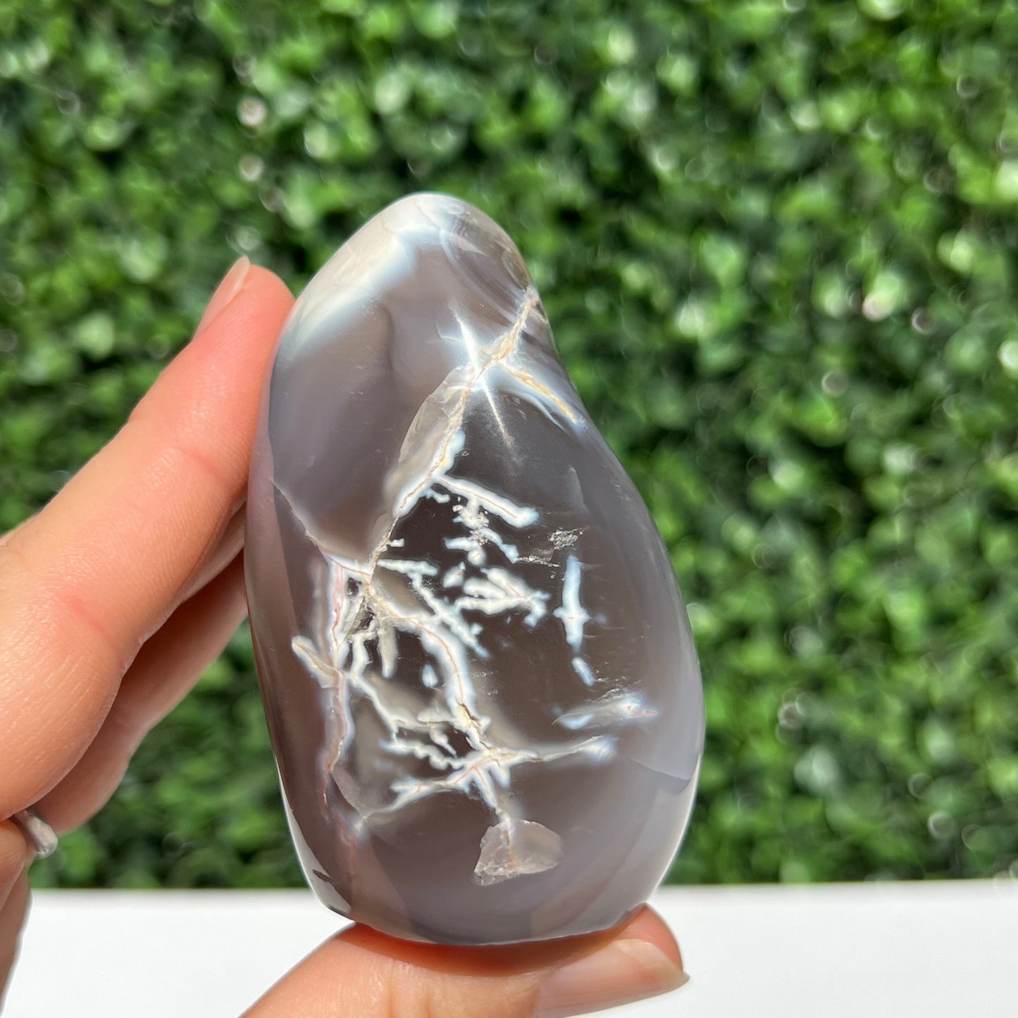 Orca Agate Free Form