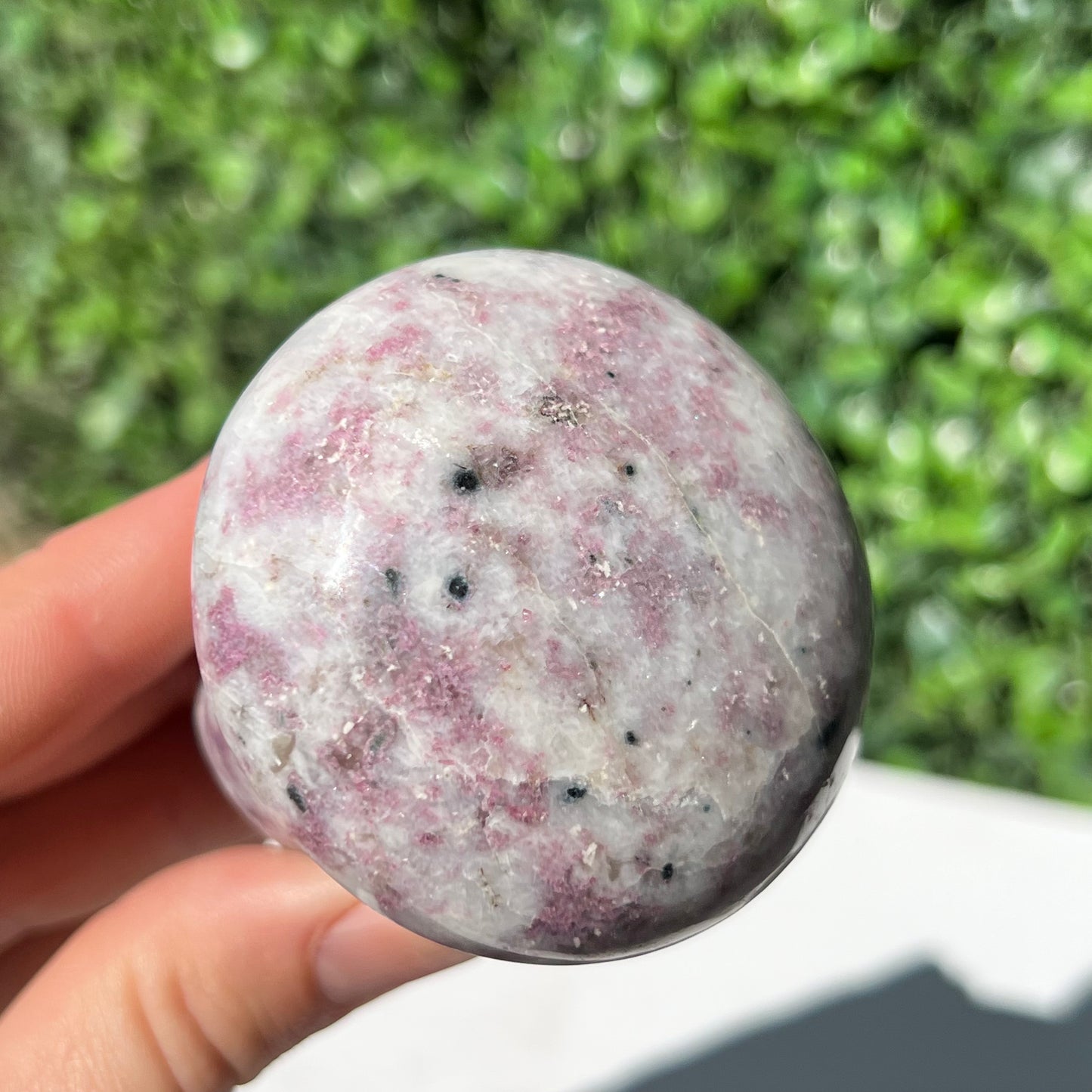 Eudialyte Mushroom