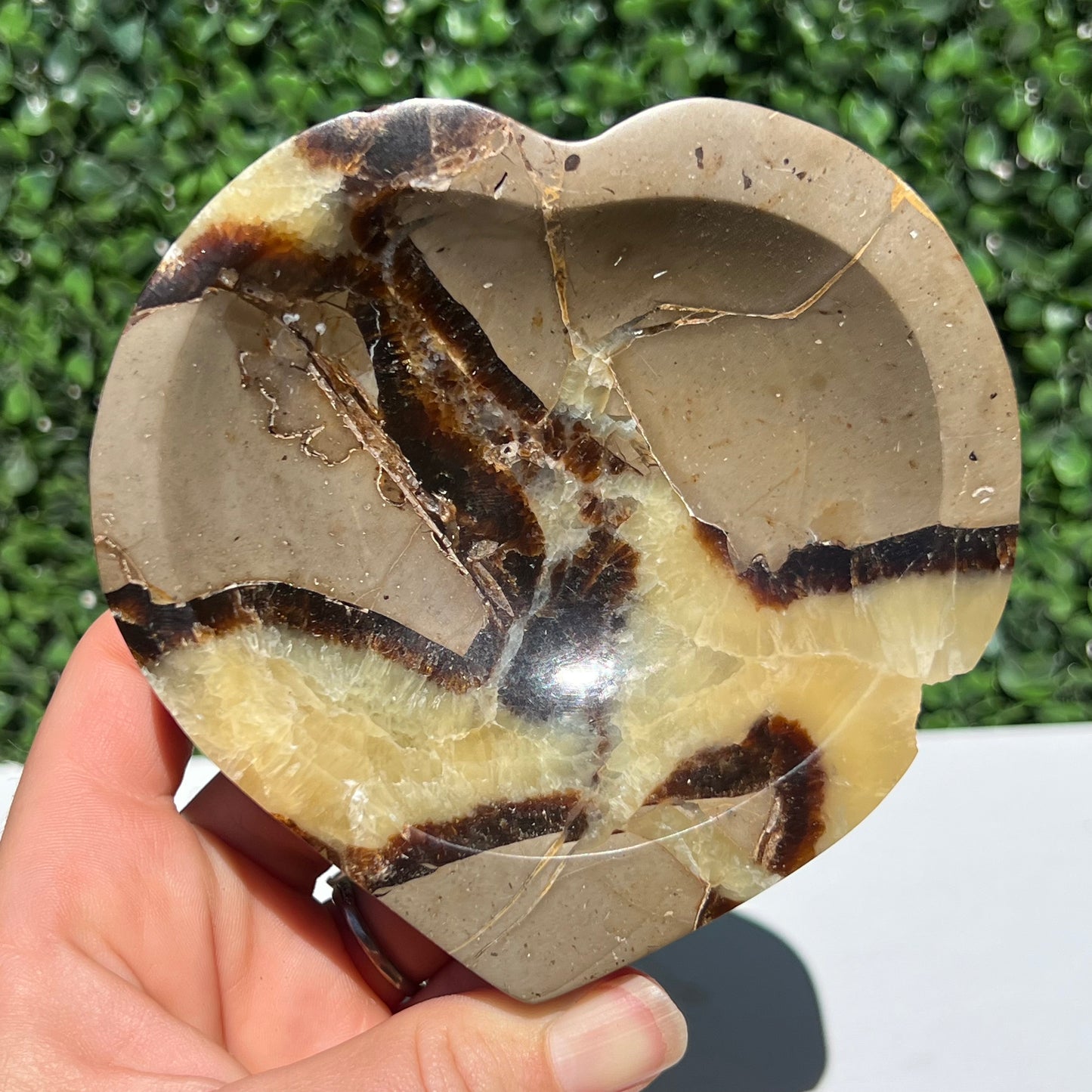 Septarian Yellow Calcite Bowl
