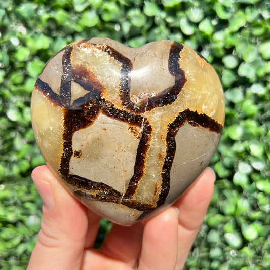 Septarian Yellow Calcite Heart